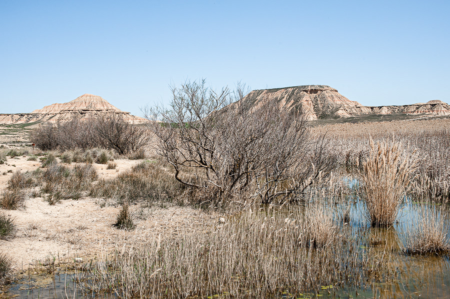 Bardenas 3