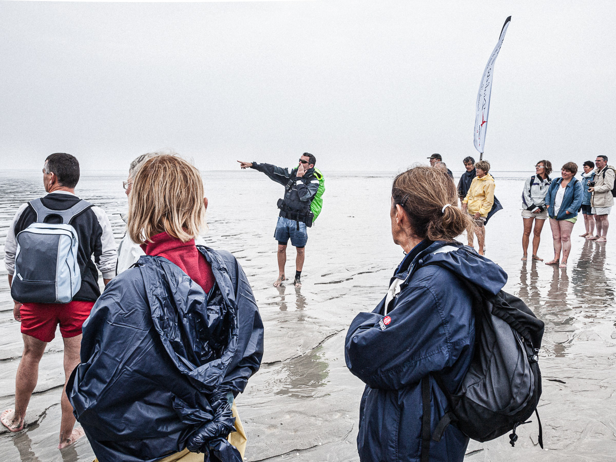 Diabéto-Malo 1 - Marche Mont St Michel
