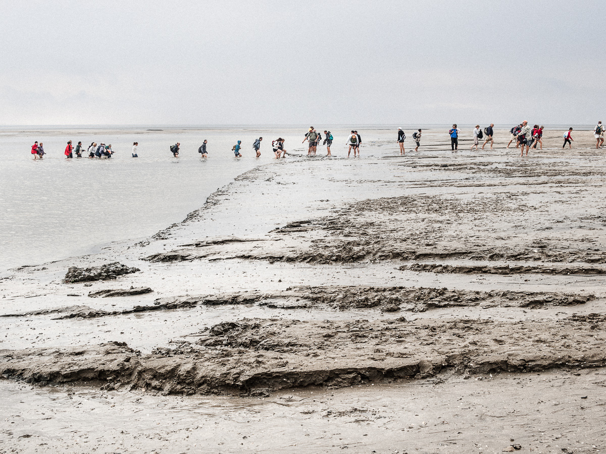 Diabéto-Malo 5 - Marche Mont St Michel