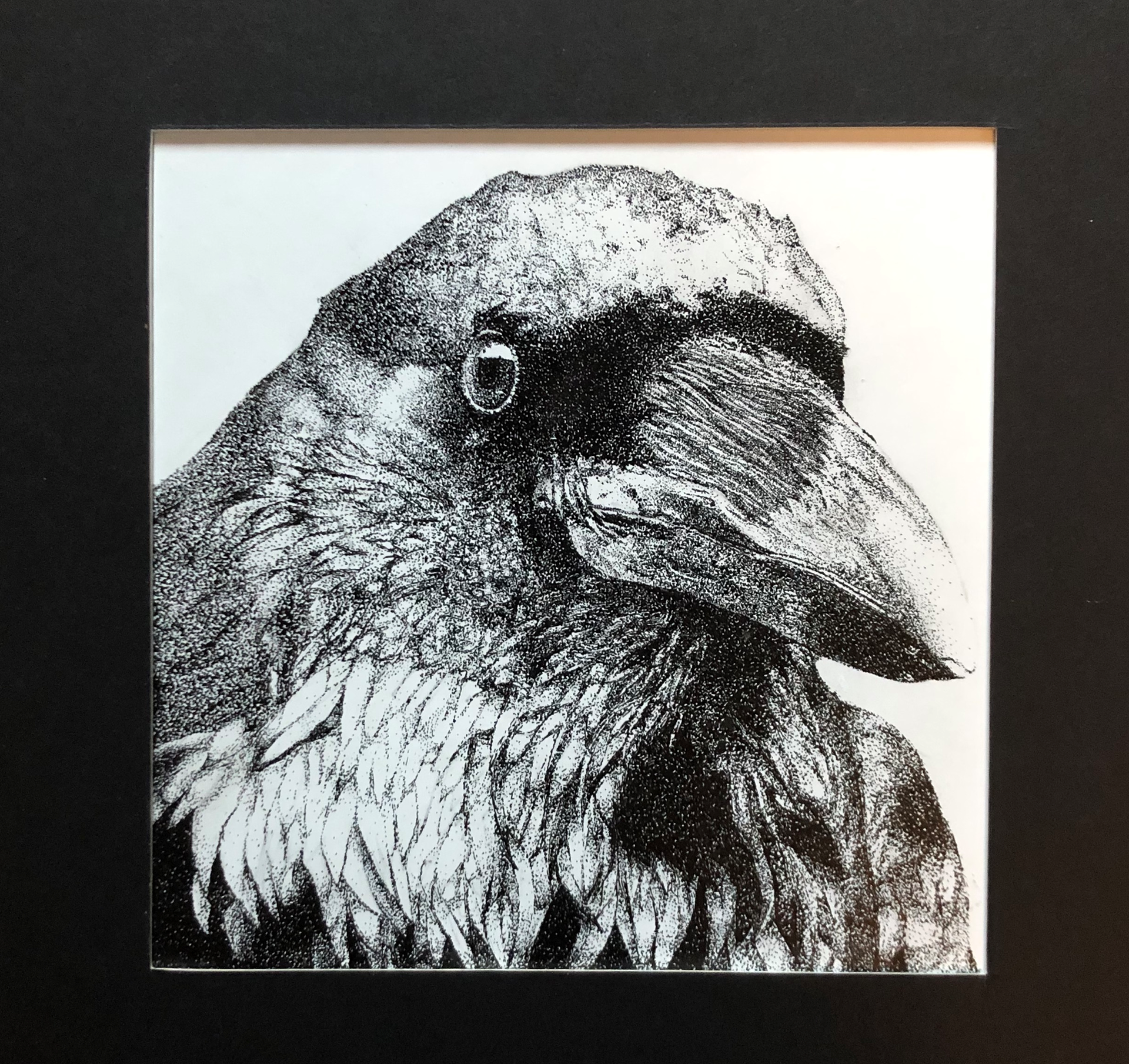 The Raven (ink, 2018)