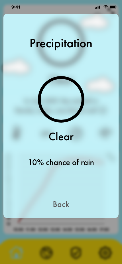 Precipitaion window
