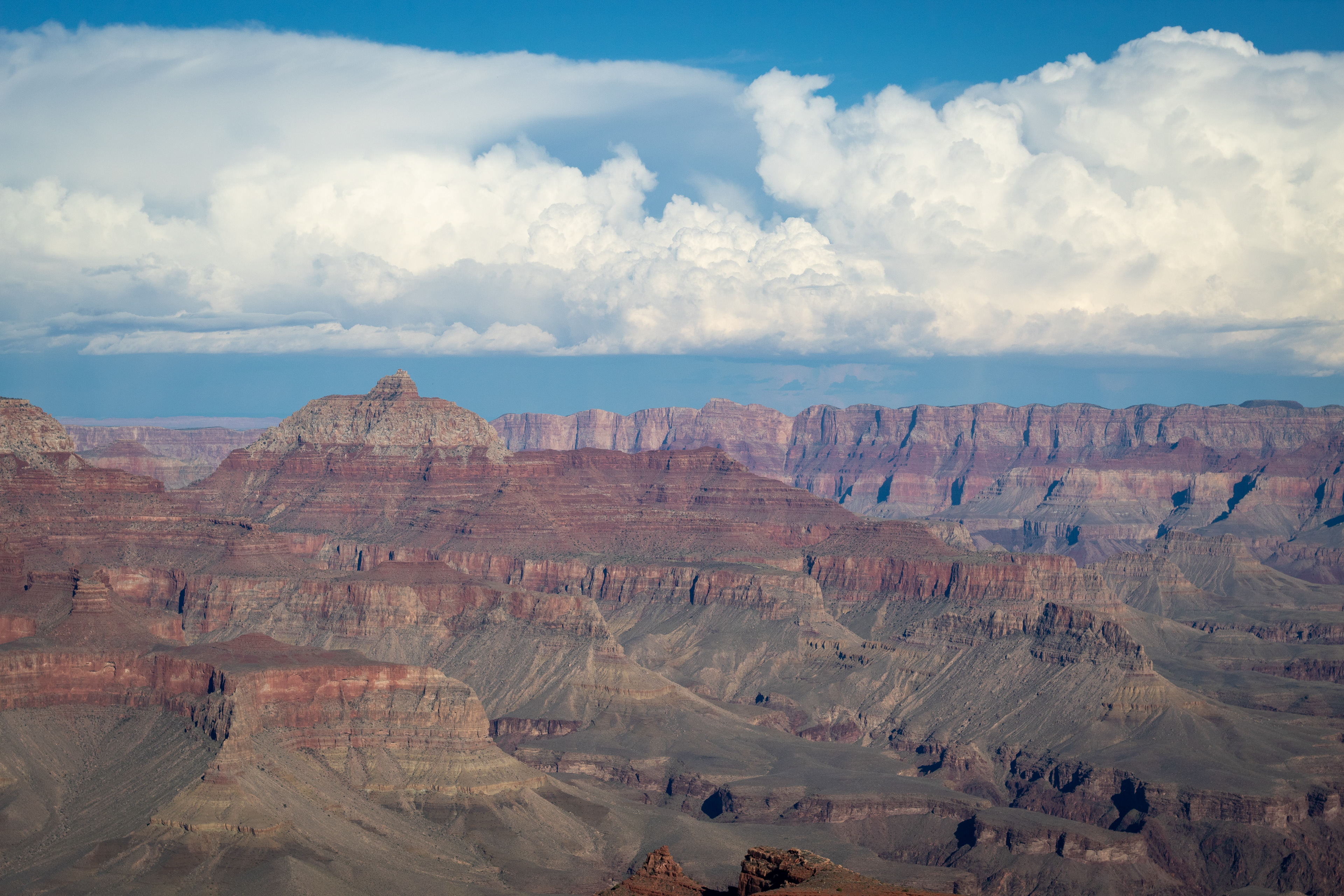 Expansive view of the Grand Canyon under dramatic clouds