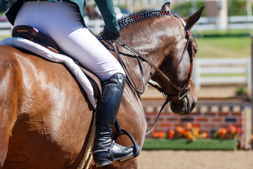 Close-up of rider's leg and tack on a bay horse in motion