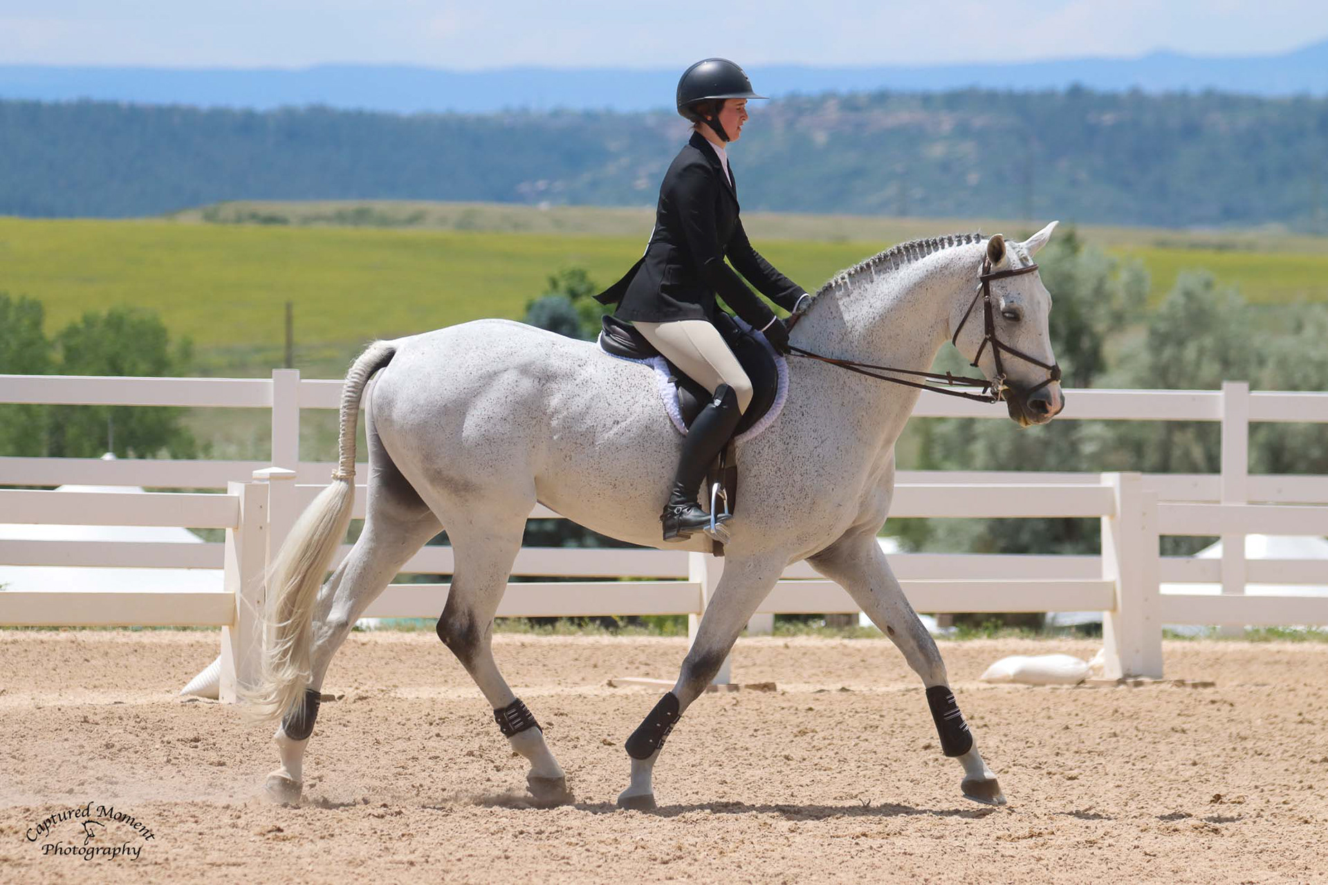 Rider and grey horse trotting in an outdoor arena