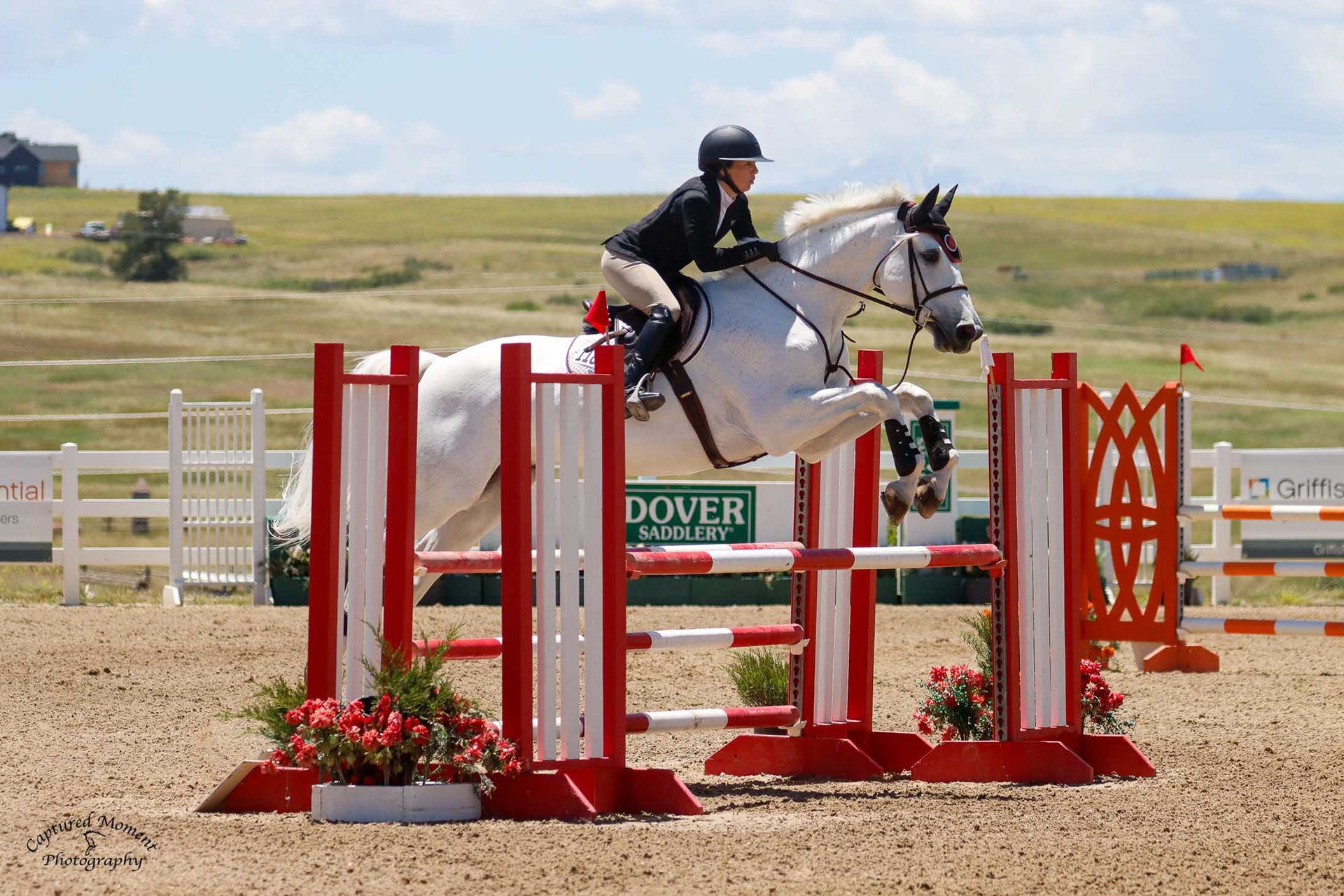 Rider and grey horse mid-jump over a white and red oxer