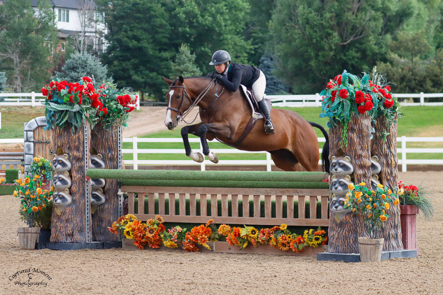 Rider and a bay horse jumping a natural-style oxer surrounded by flowers