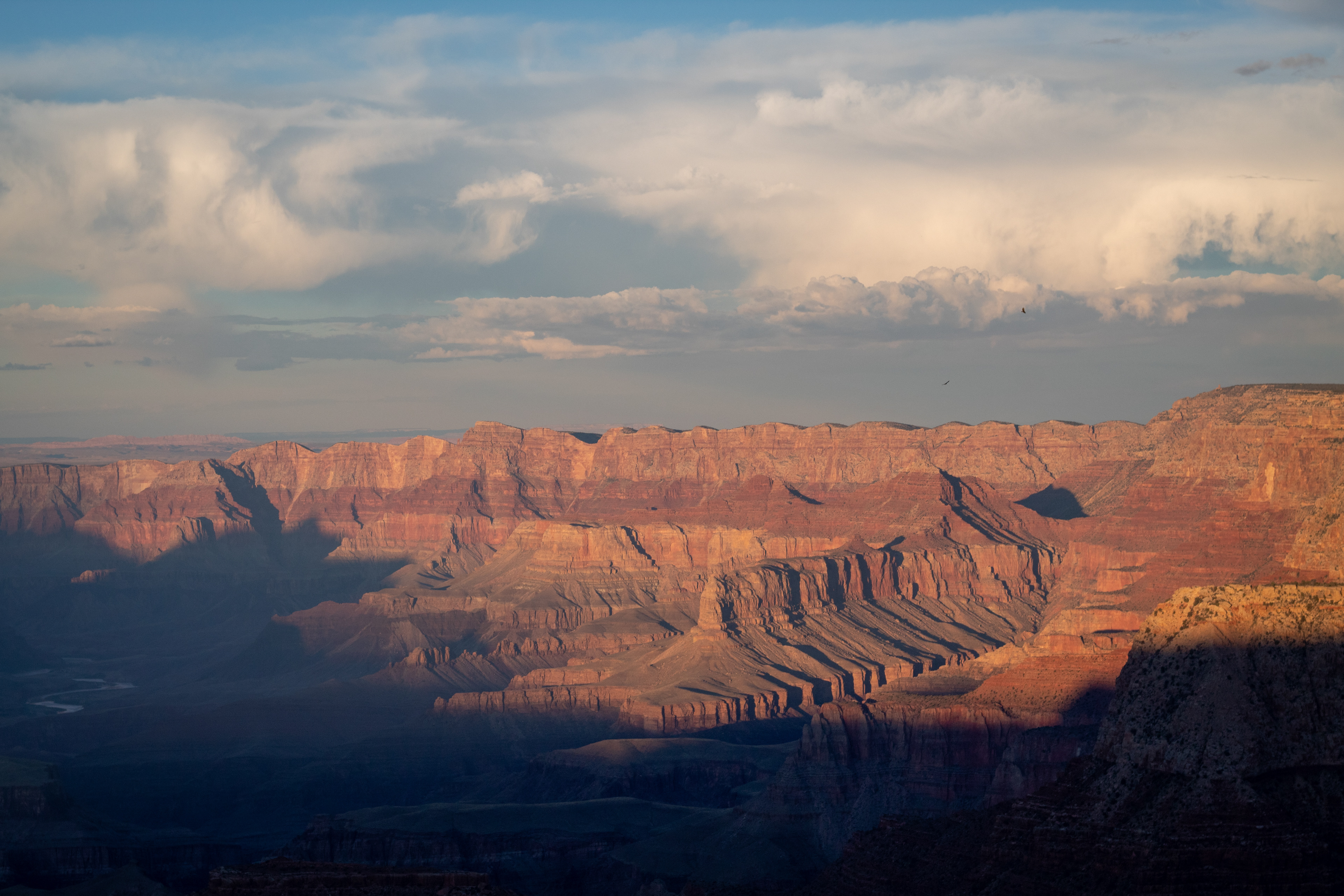 Grand Canyon cliffs glowing in the afternoon sun, shadows highlighting the depth