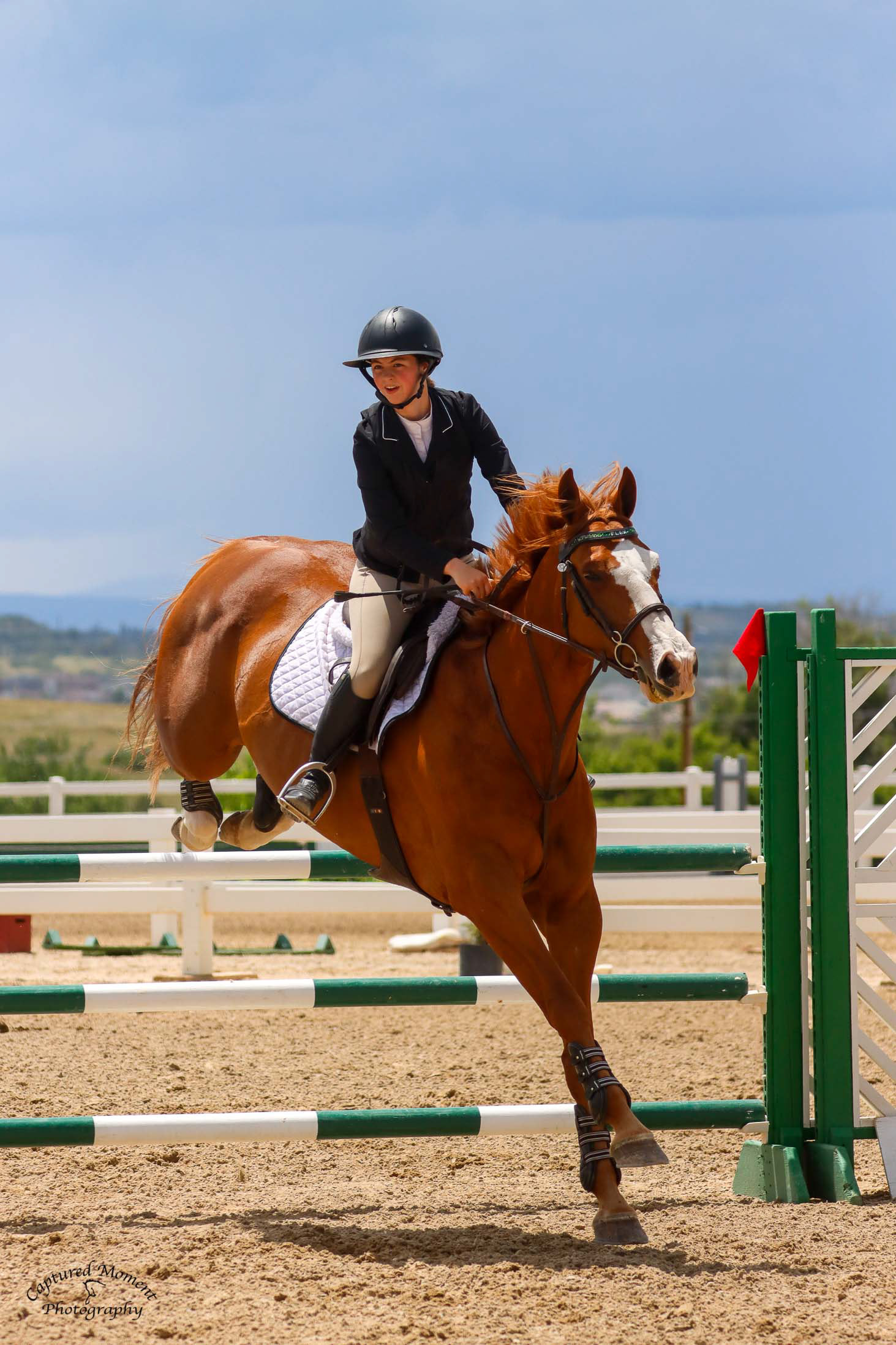Rider and chestnut horse jumping on a downward angle over a green and white jump