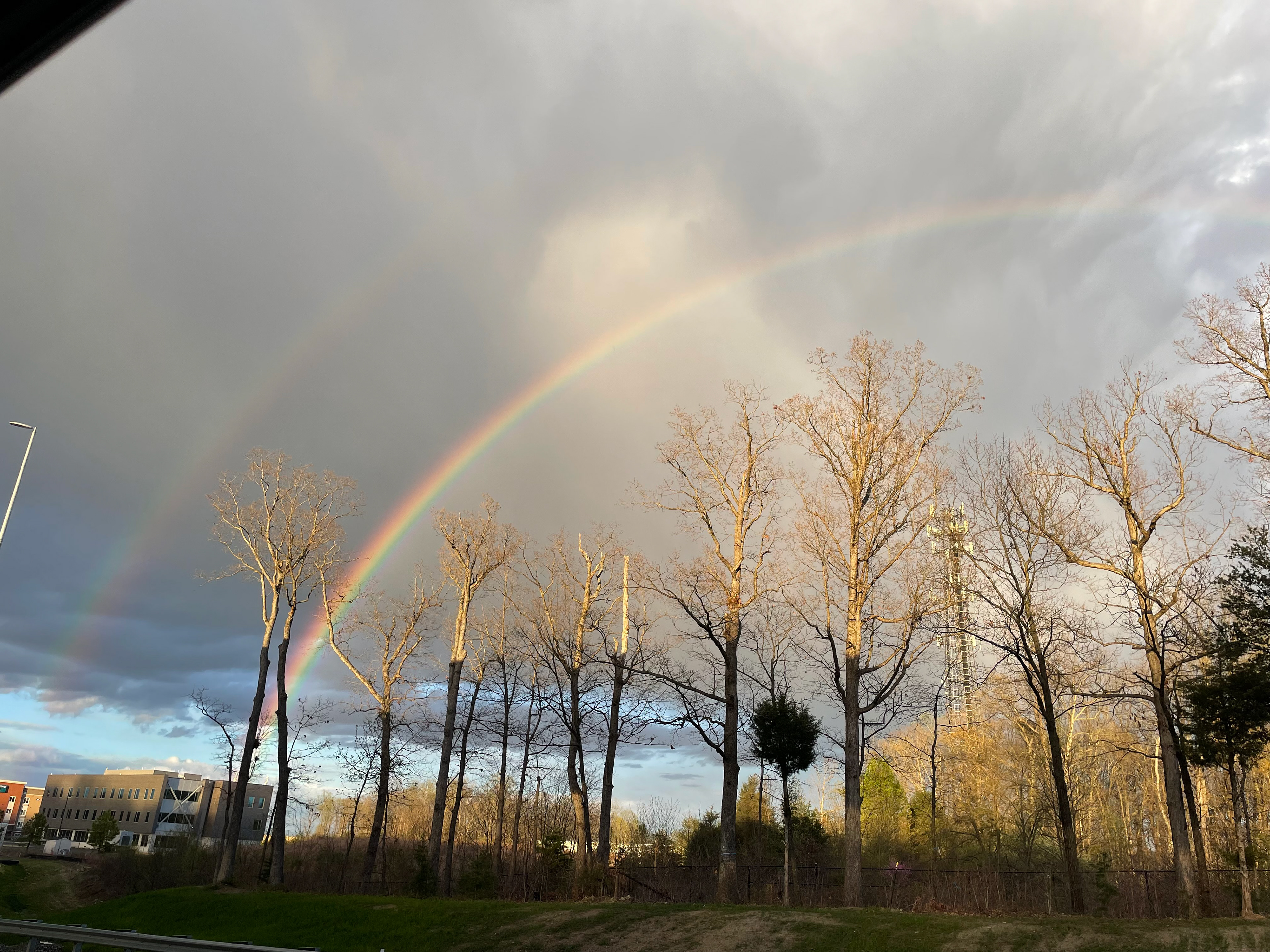This photo was taken while Alexandra was driving through Virginia with her family. 