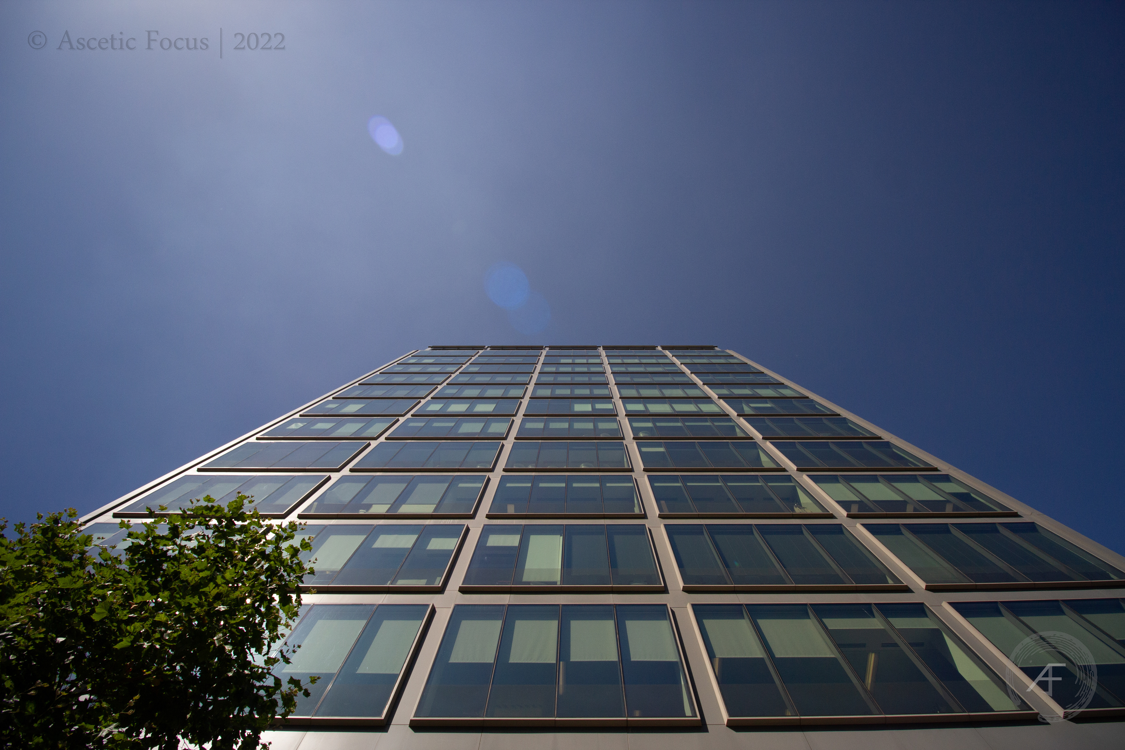 'Green Versus Blue'