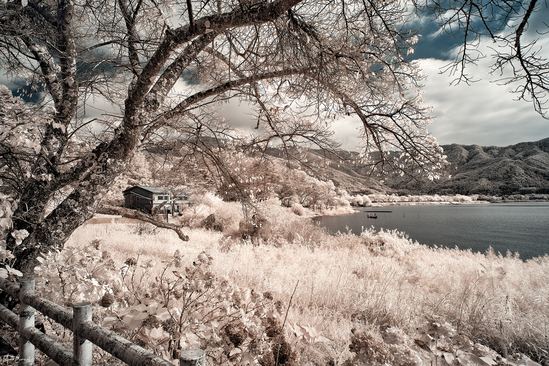 Lake Kawaguchi, Japan