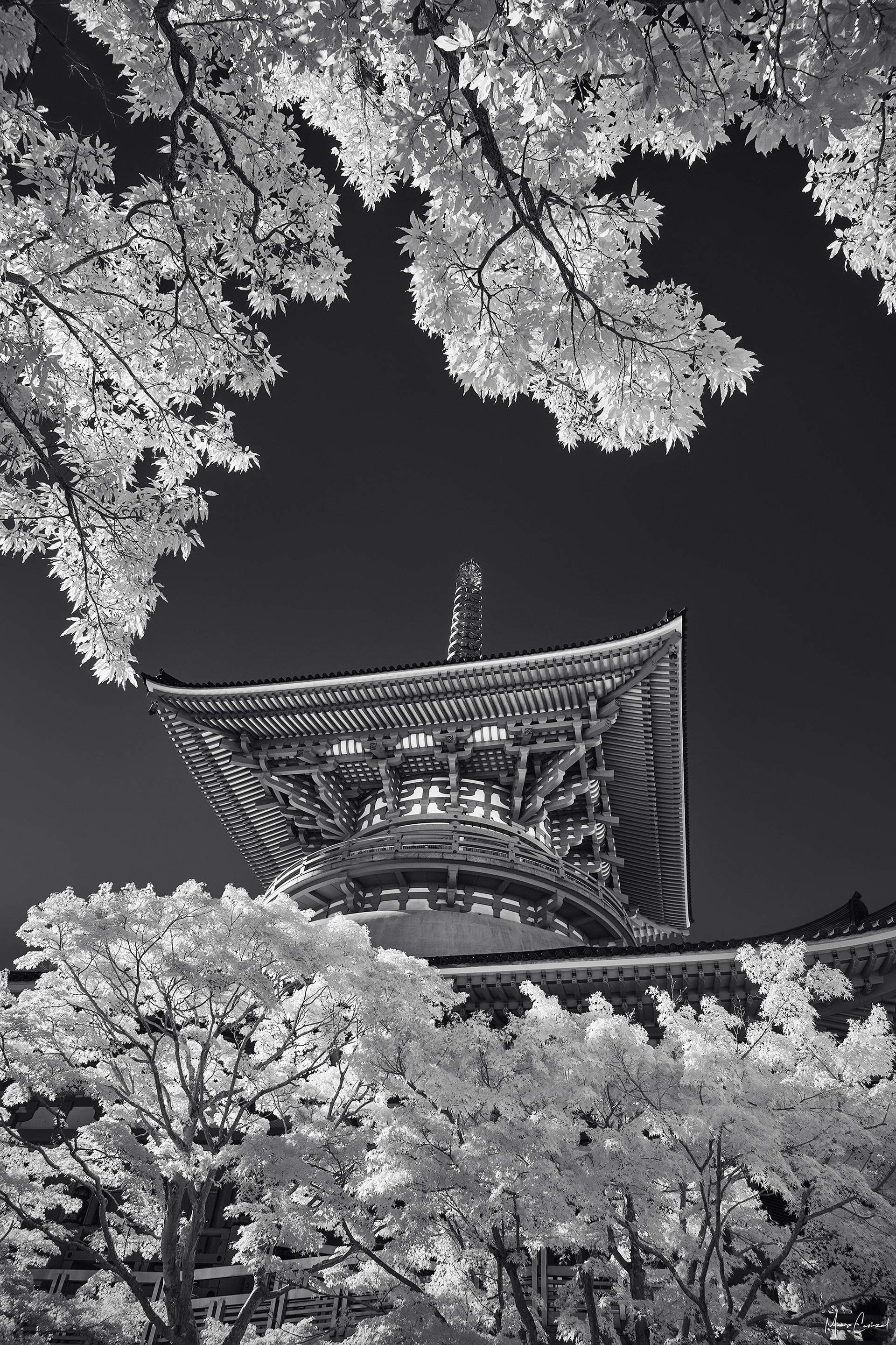 Naritasan Shinsho-ji Temple, Narita Japan