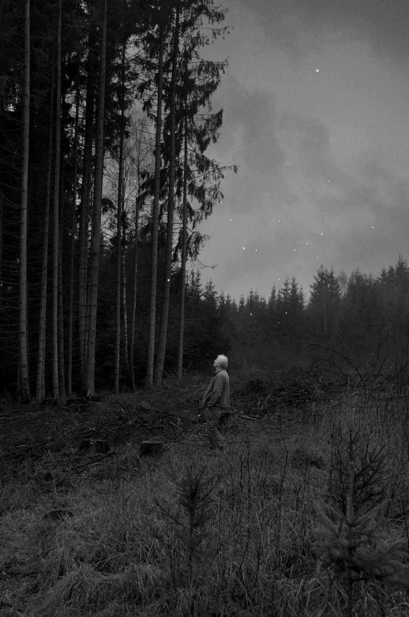 Grandpa in his forest