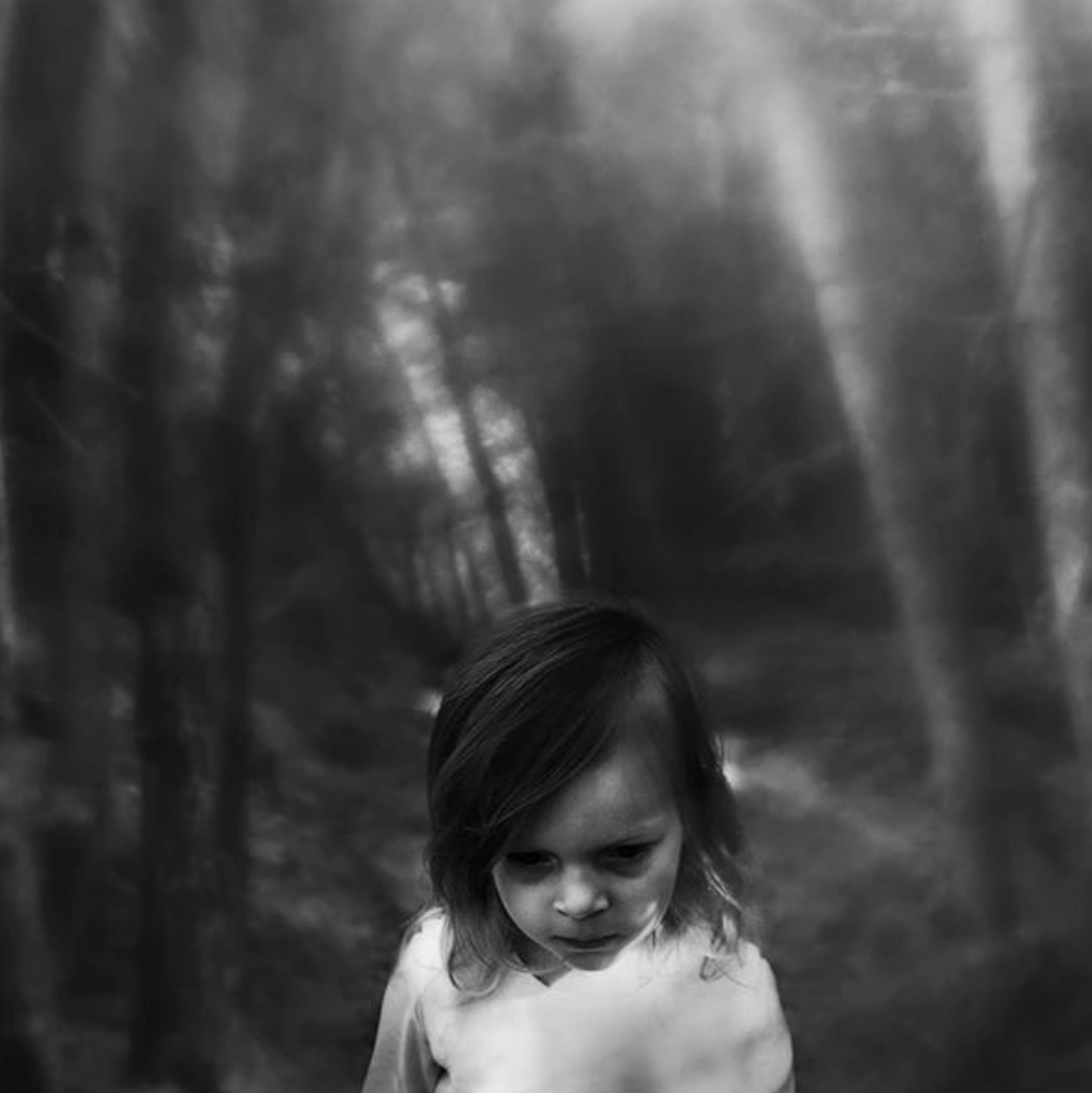 The Forest Whispers