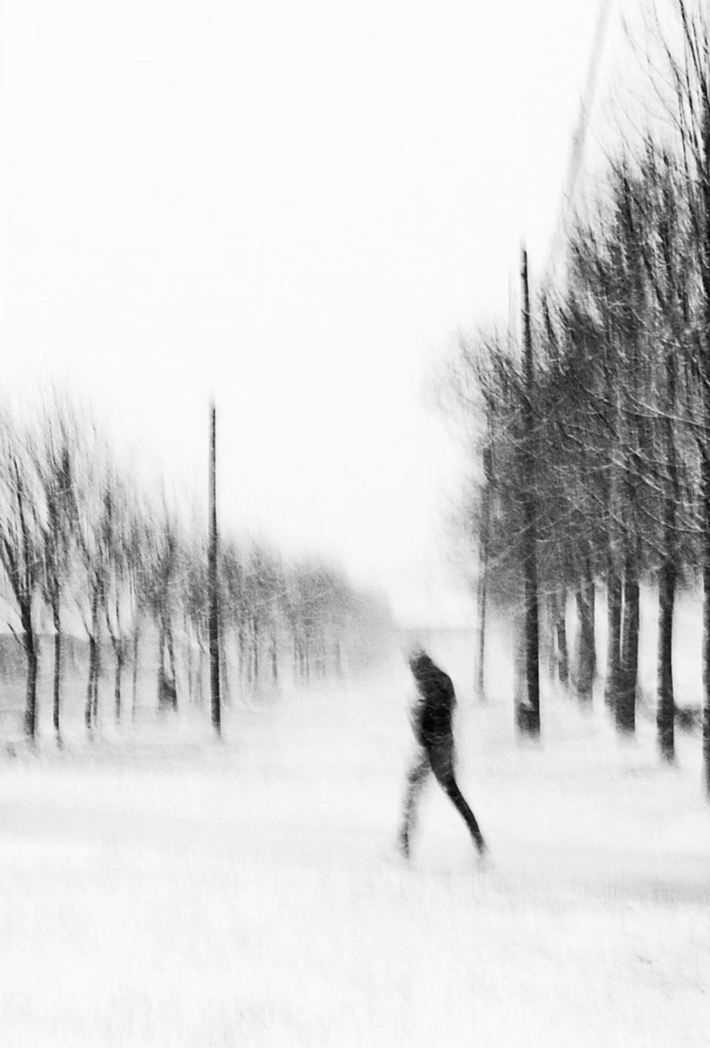 through the snow storm Croatia, Zagreb 2020