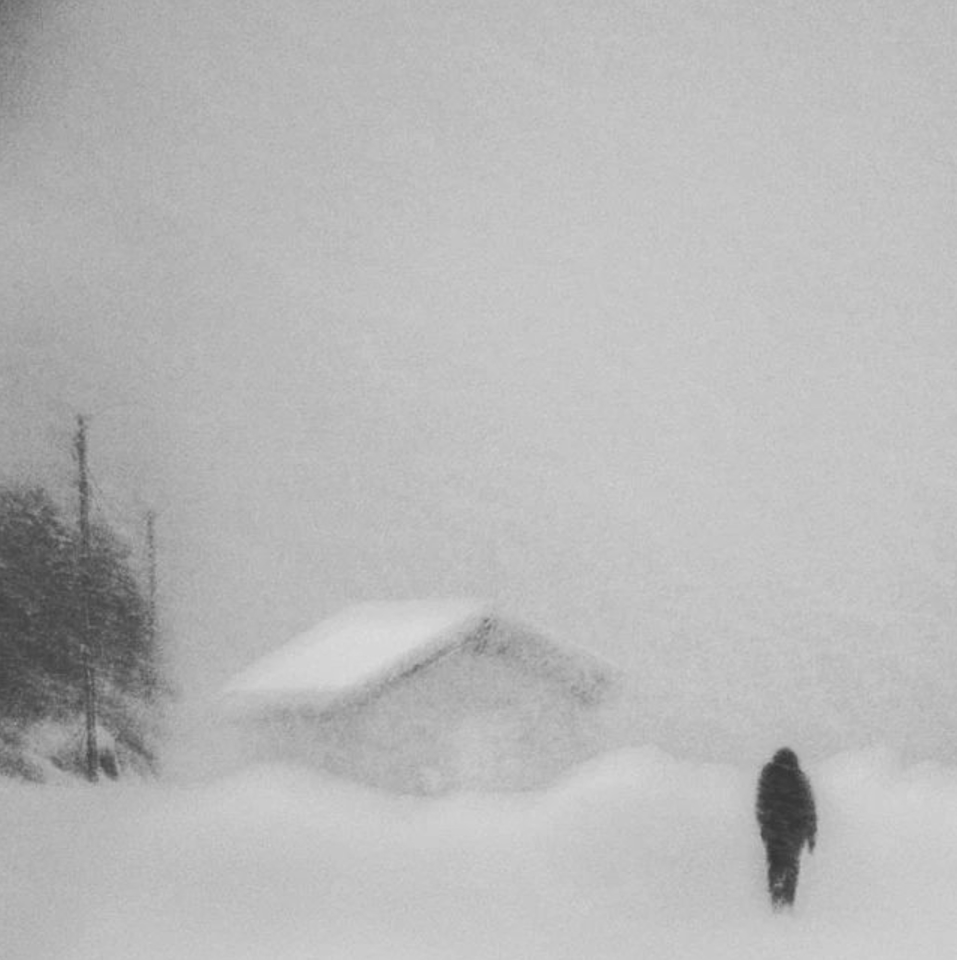 White Melancholy