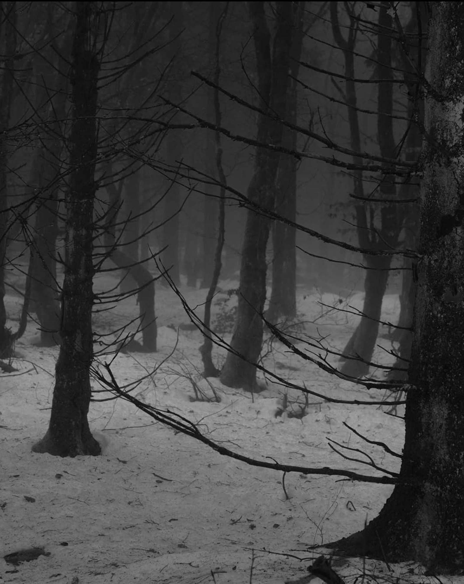 The dead days