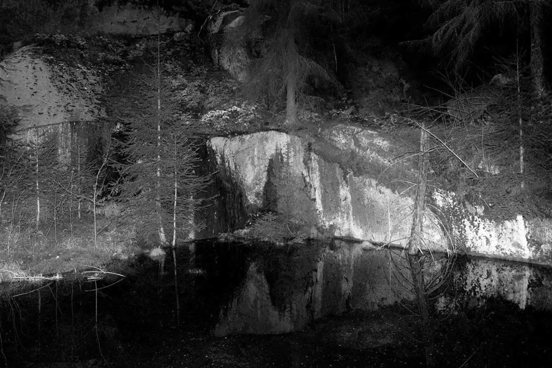 The black pond