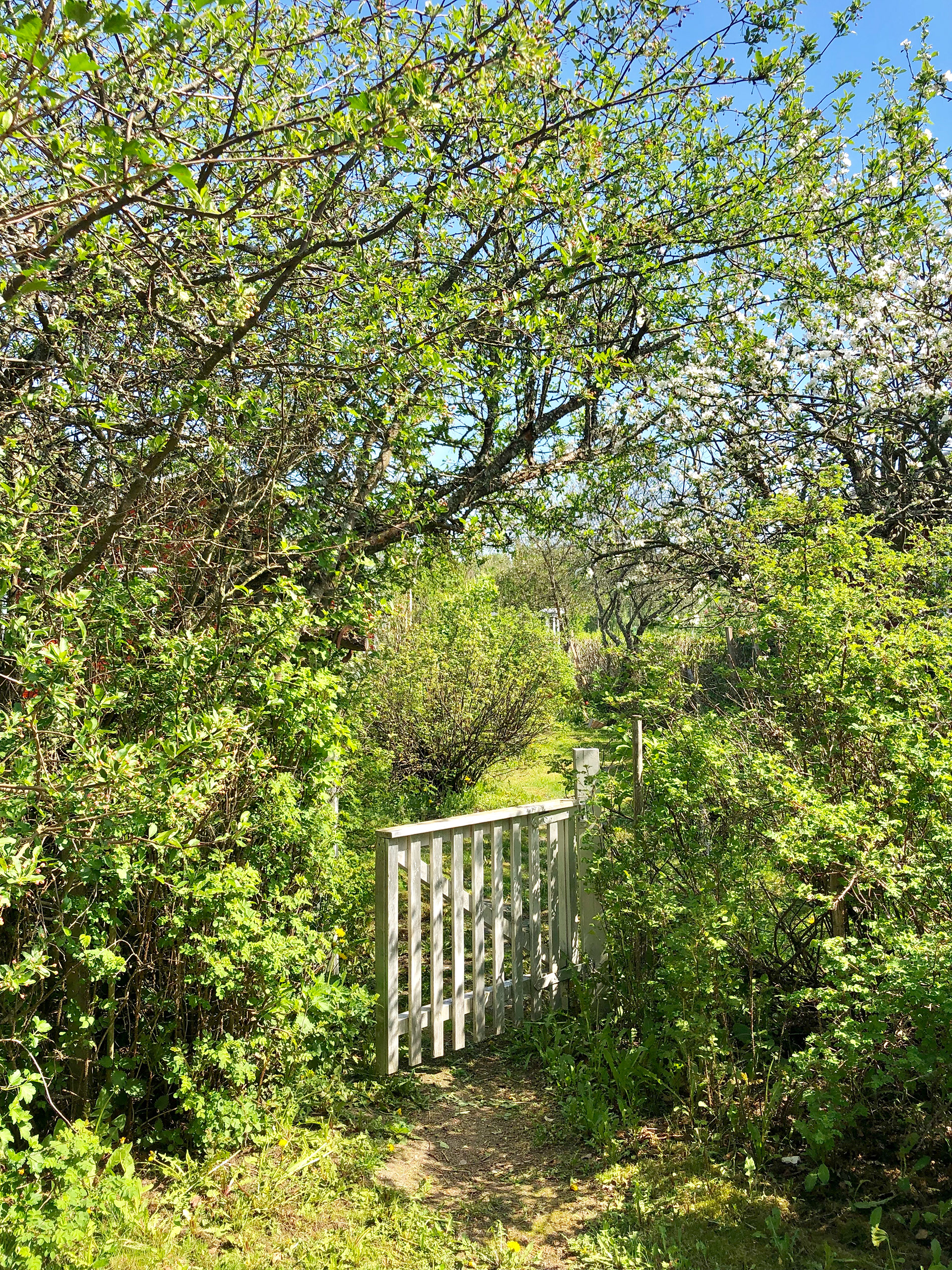 Private yards in allotment gardens.