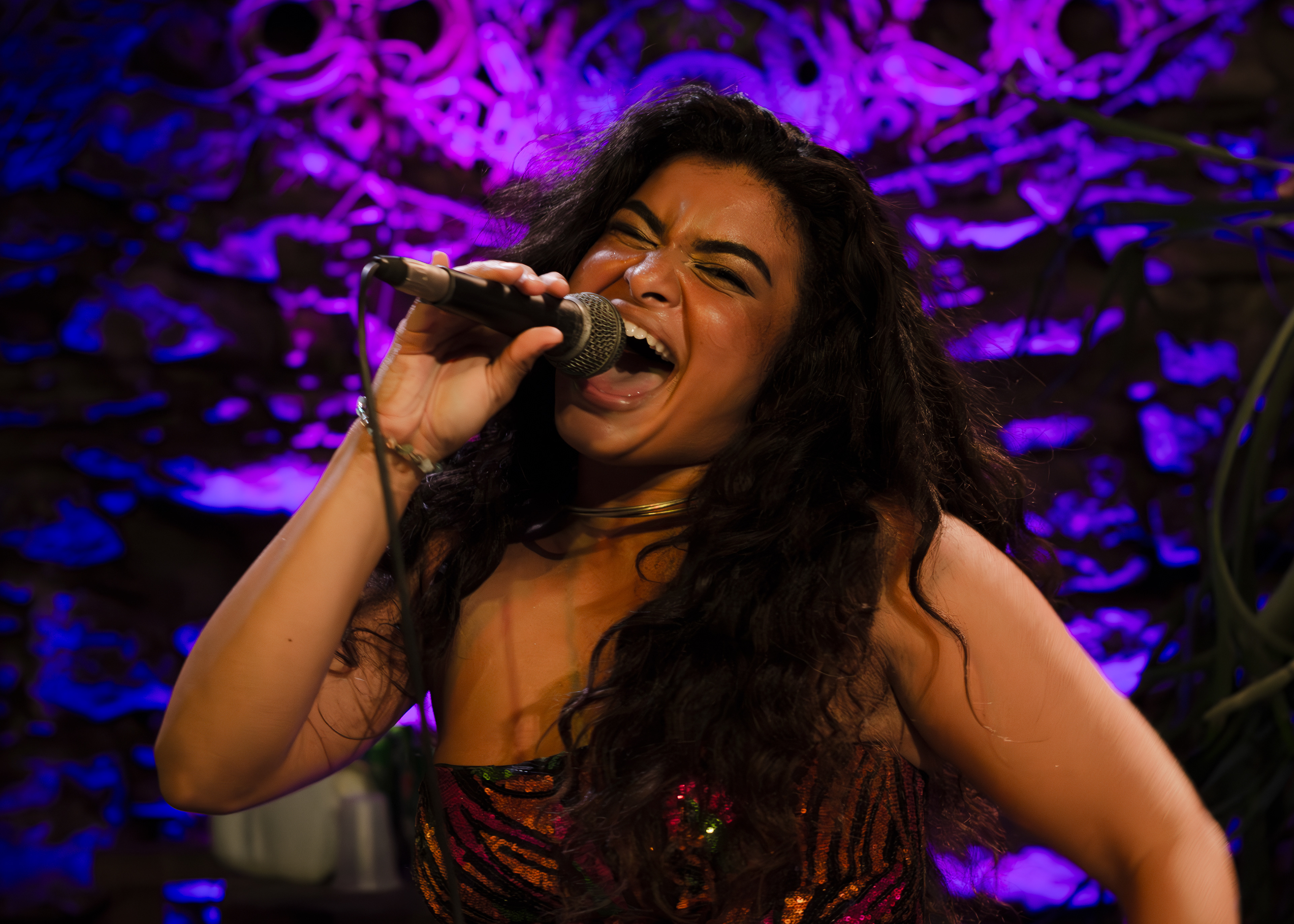 Haydée
