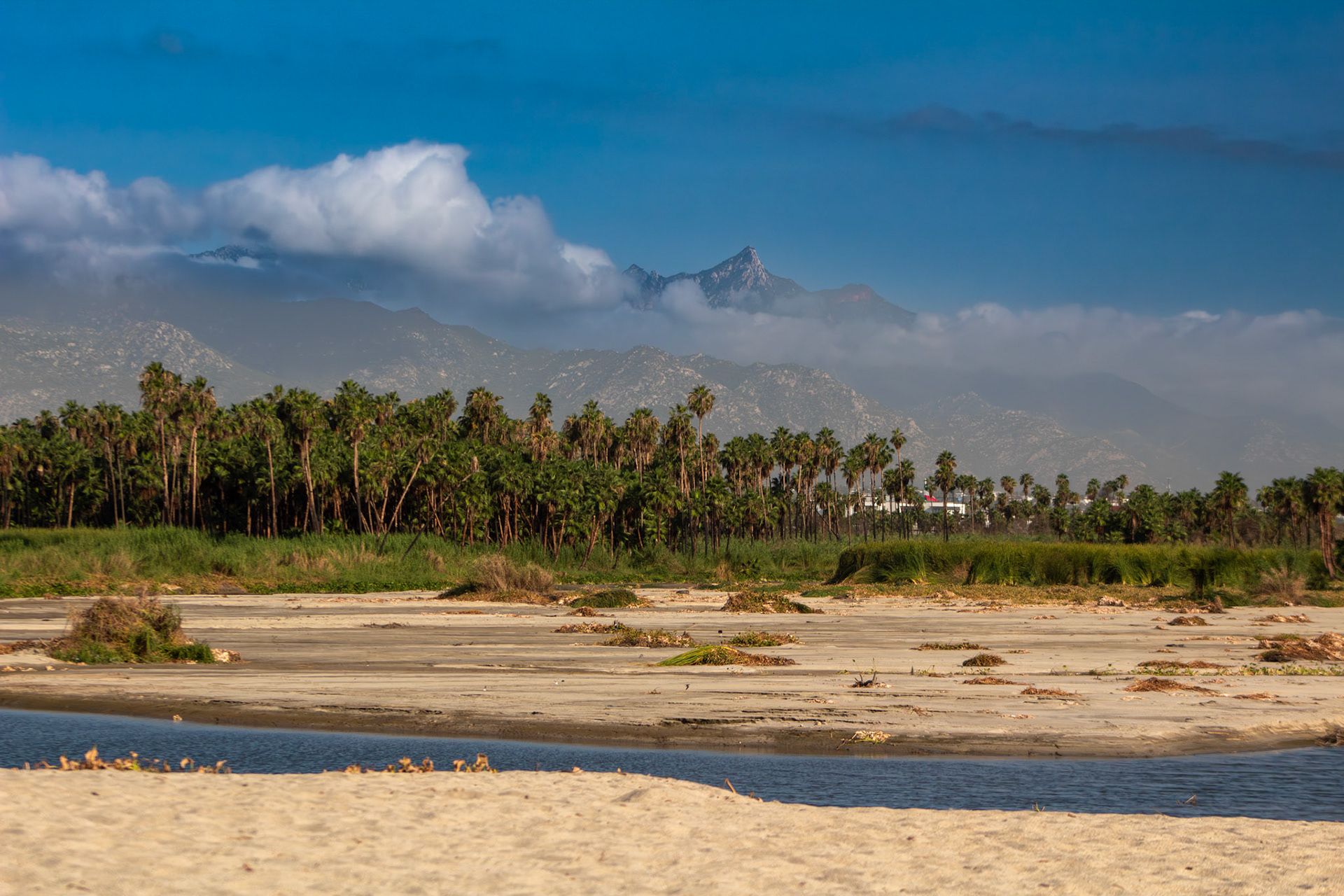 Estero de San Jose del Cabo