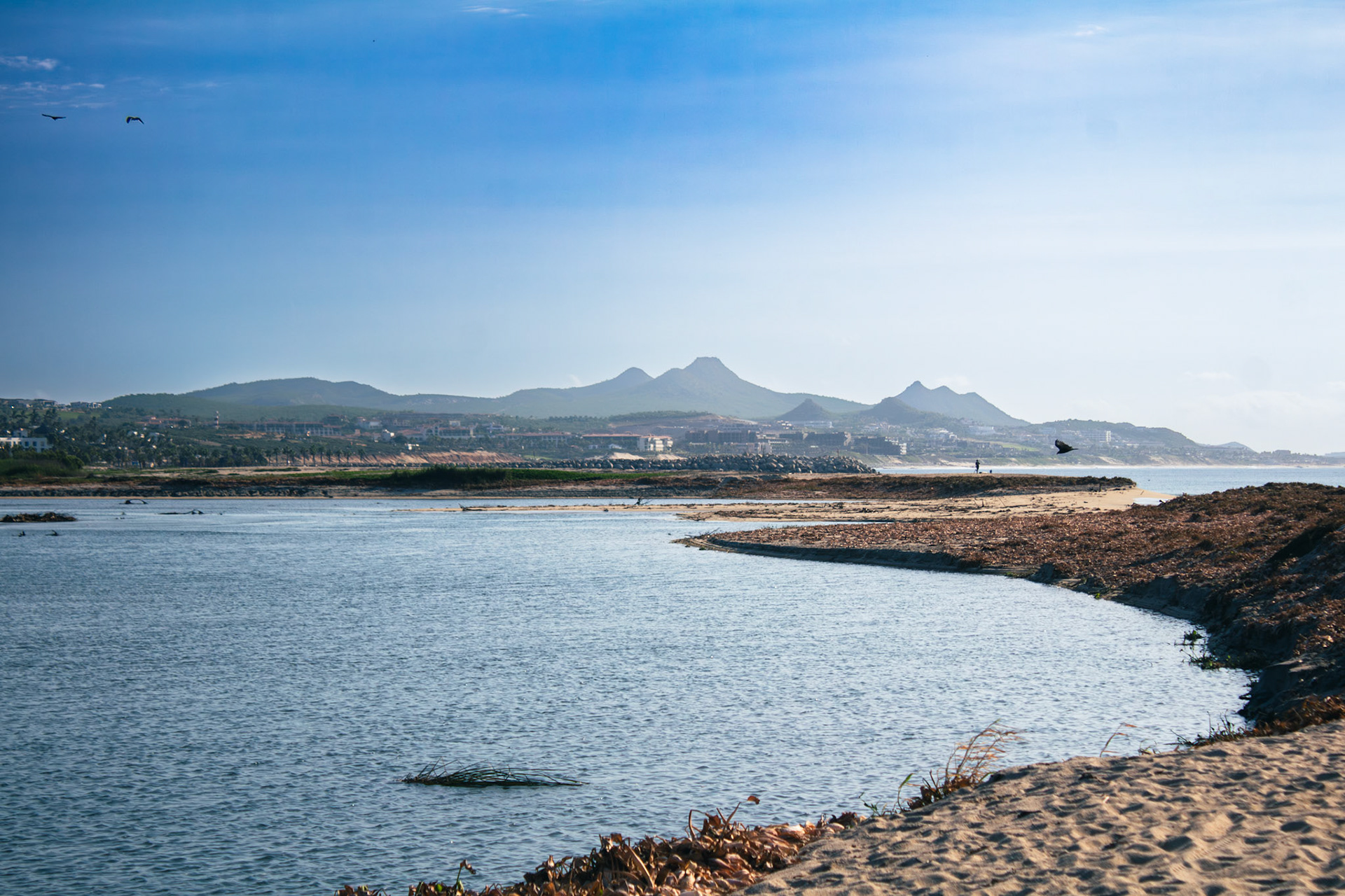 Estero de San Jose del Cabo