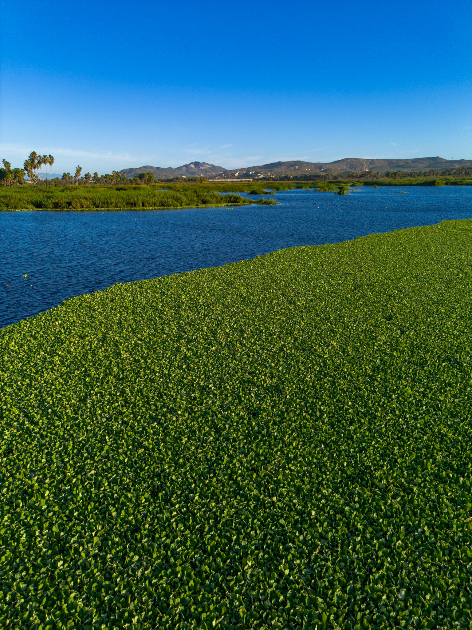 Estero Noviembre 2024