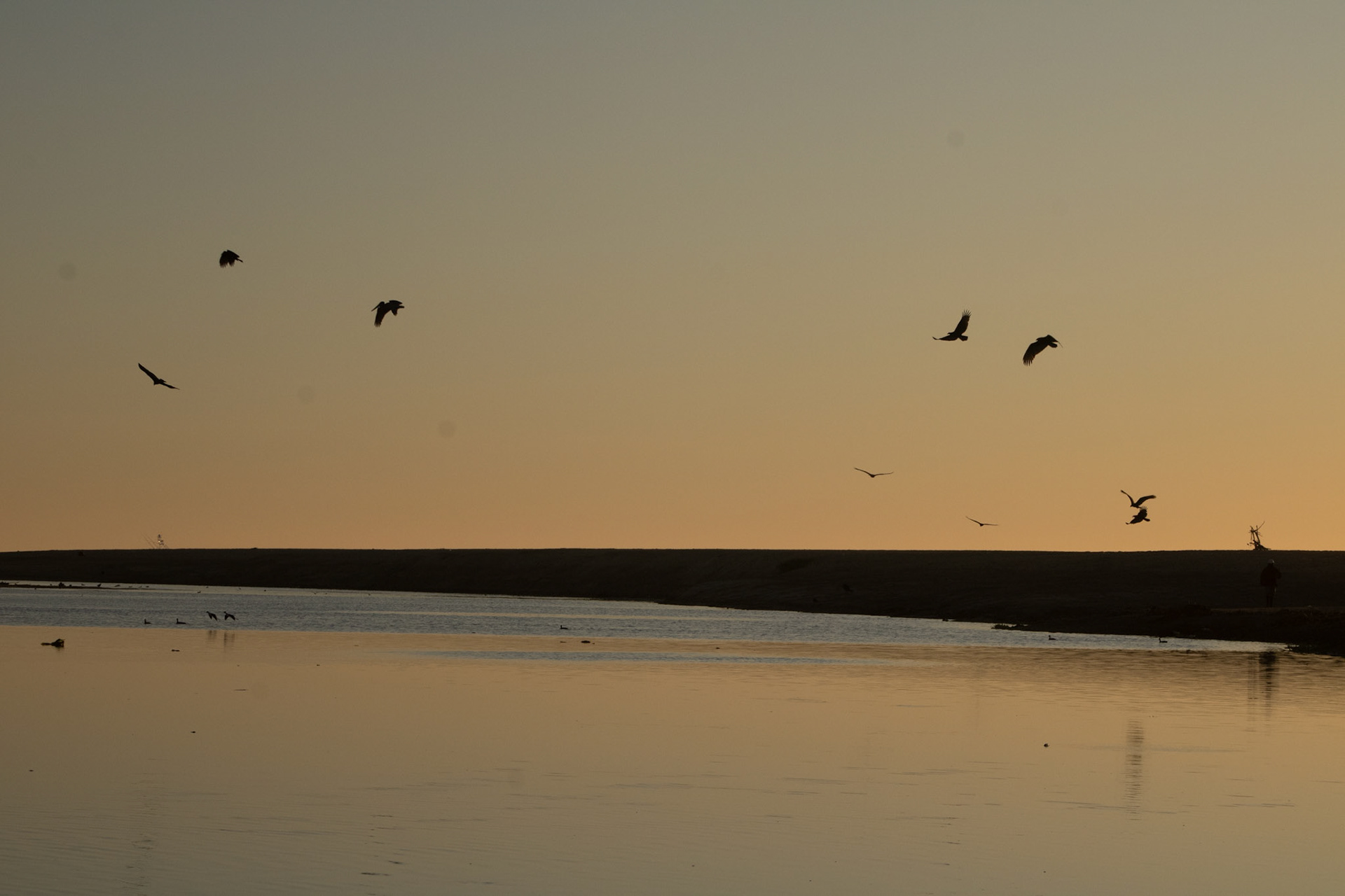 Amanecer en estero Diciembre 2025