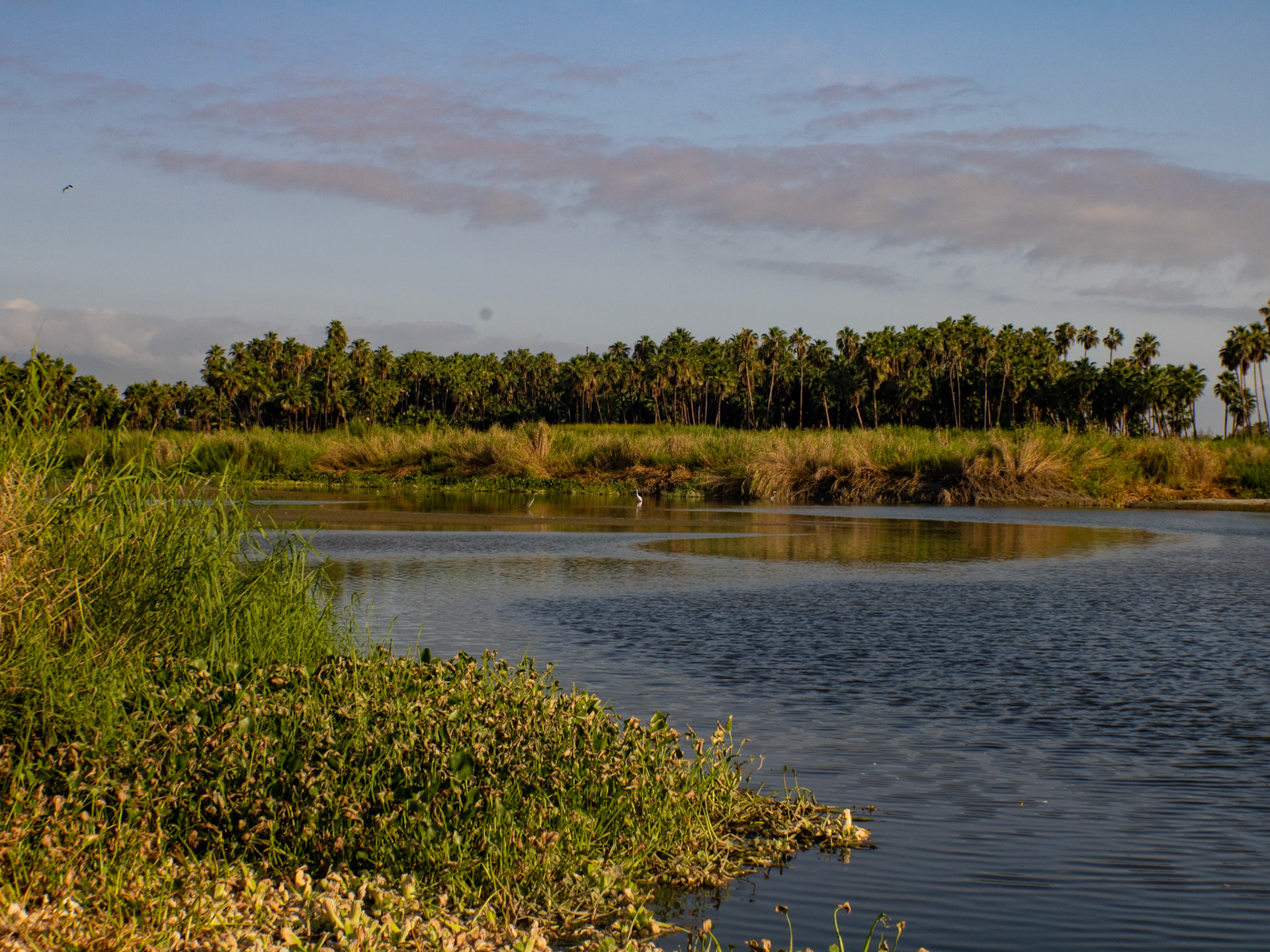Estero Septiembre 2024