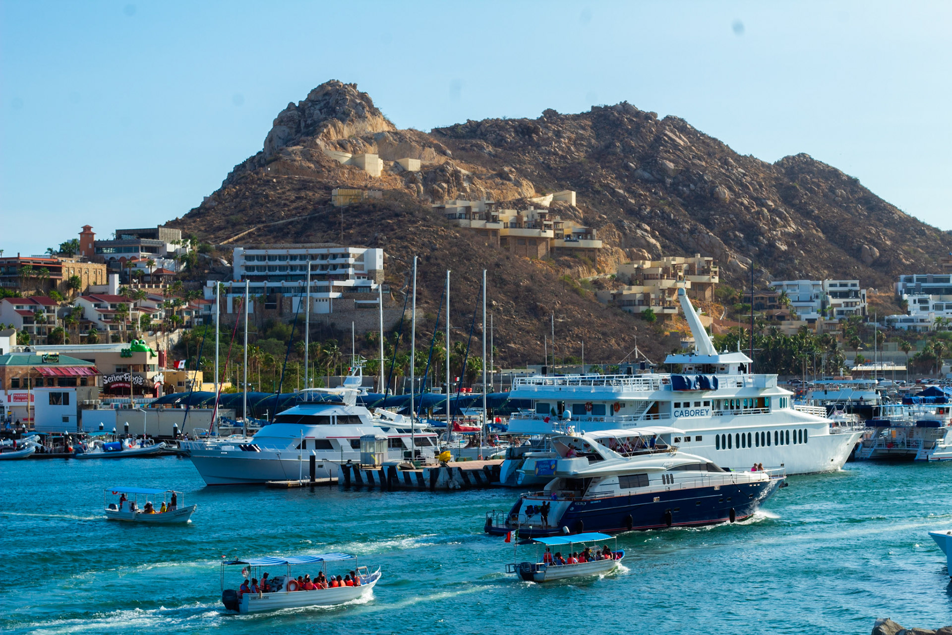 Marina Cabo San Lucas