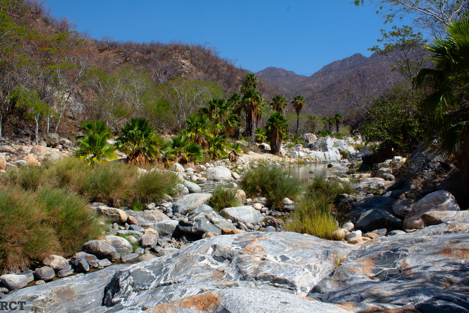Cañon de la Zorra, BCS