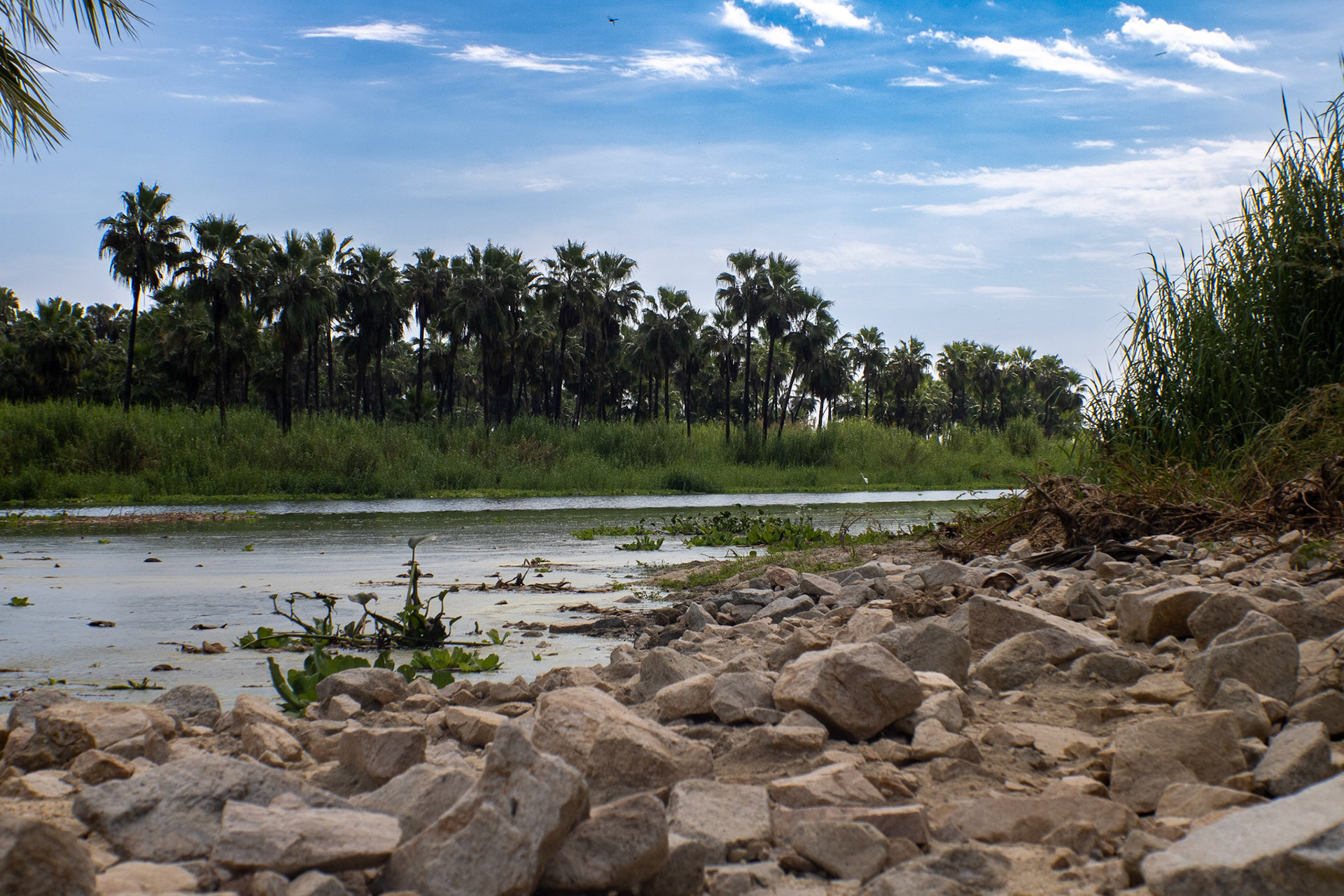 Estero San Jose del Cabo