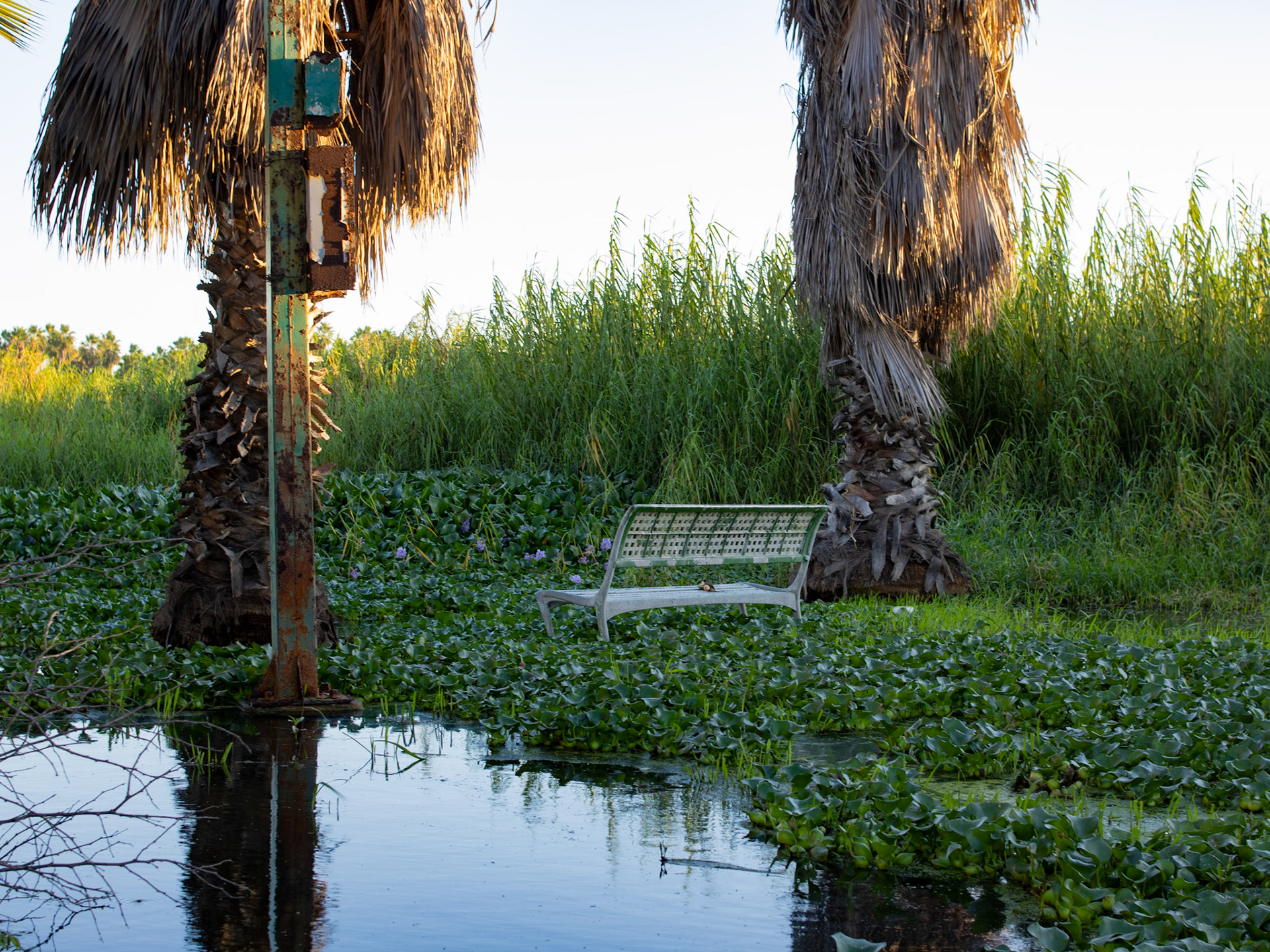 Estero Noviembre 2024