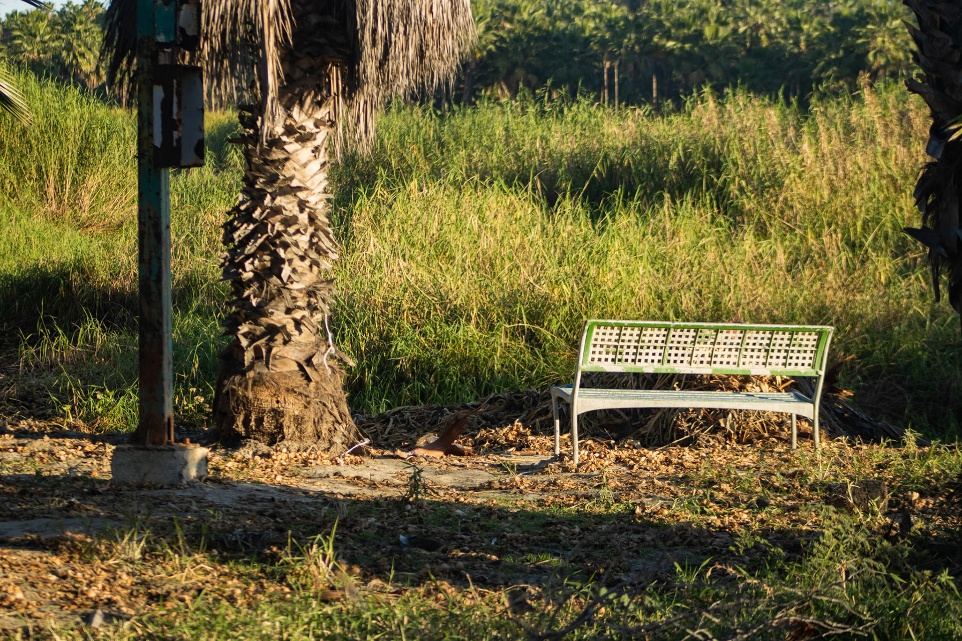 Banca en estero, diciembre 2024