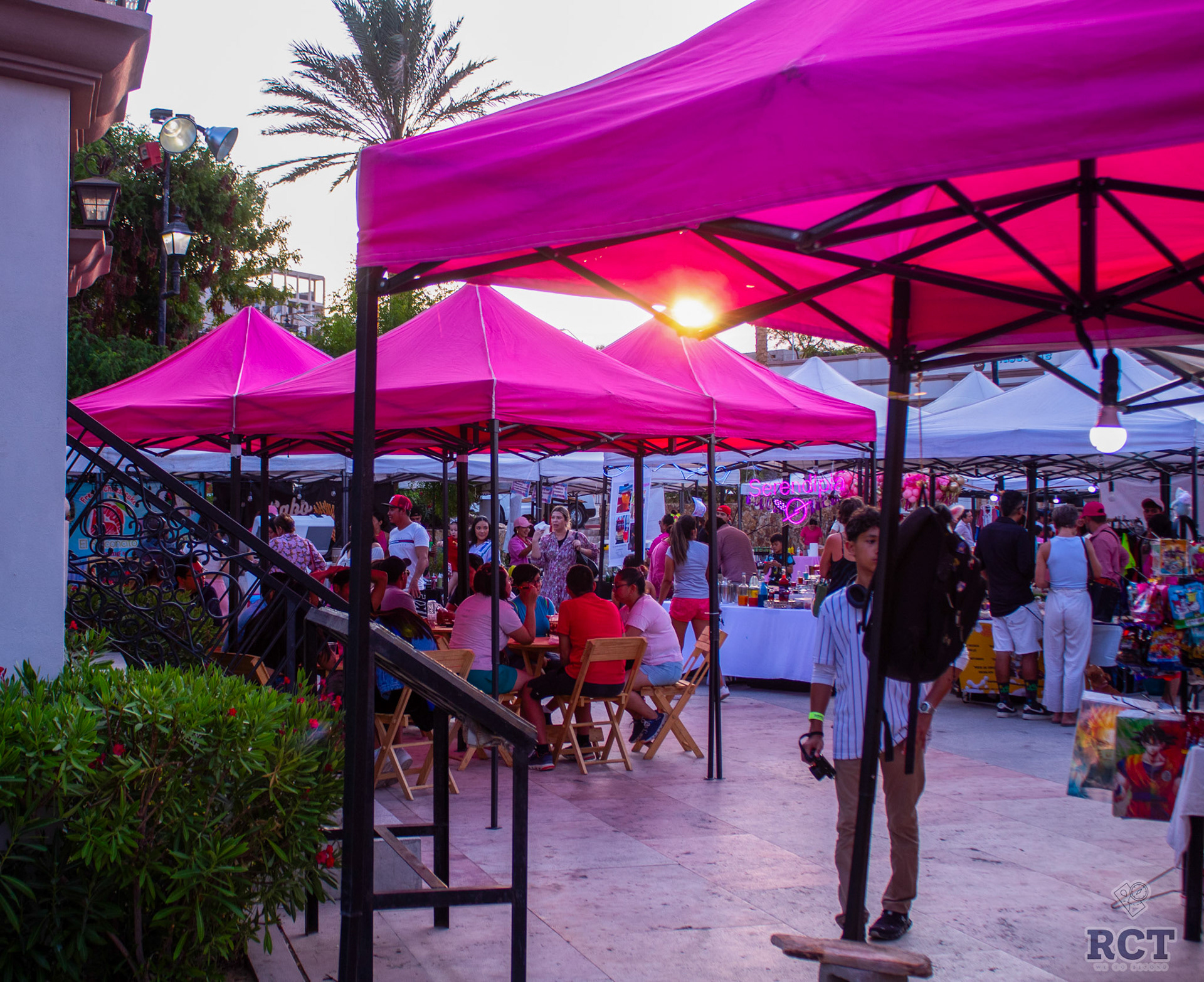 Mercado Rosa, Plaza Amelia Wilkes