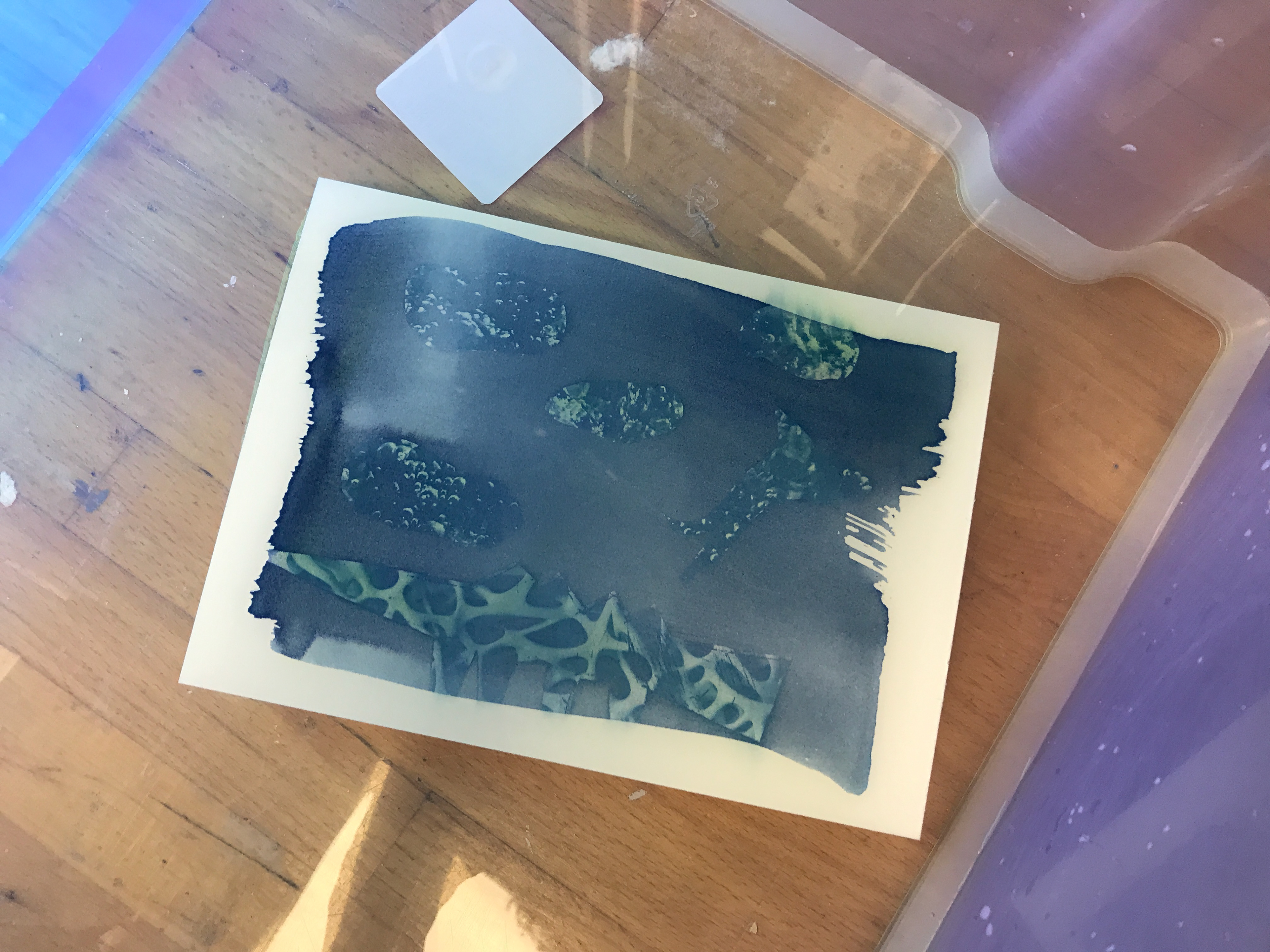 Zwemmen maar, koppie onder!