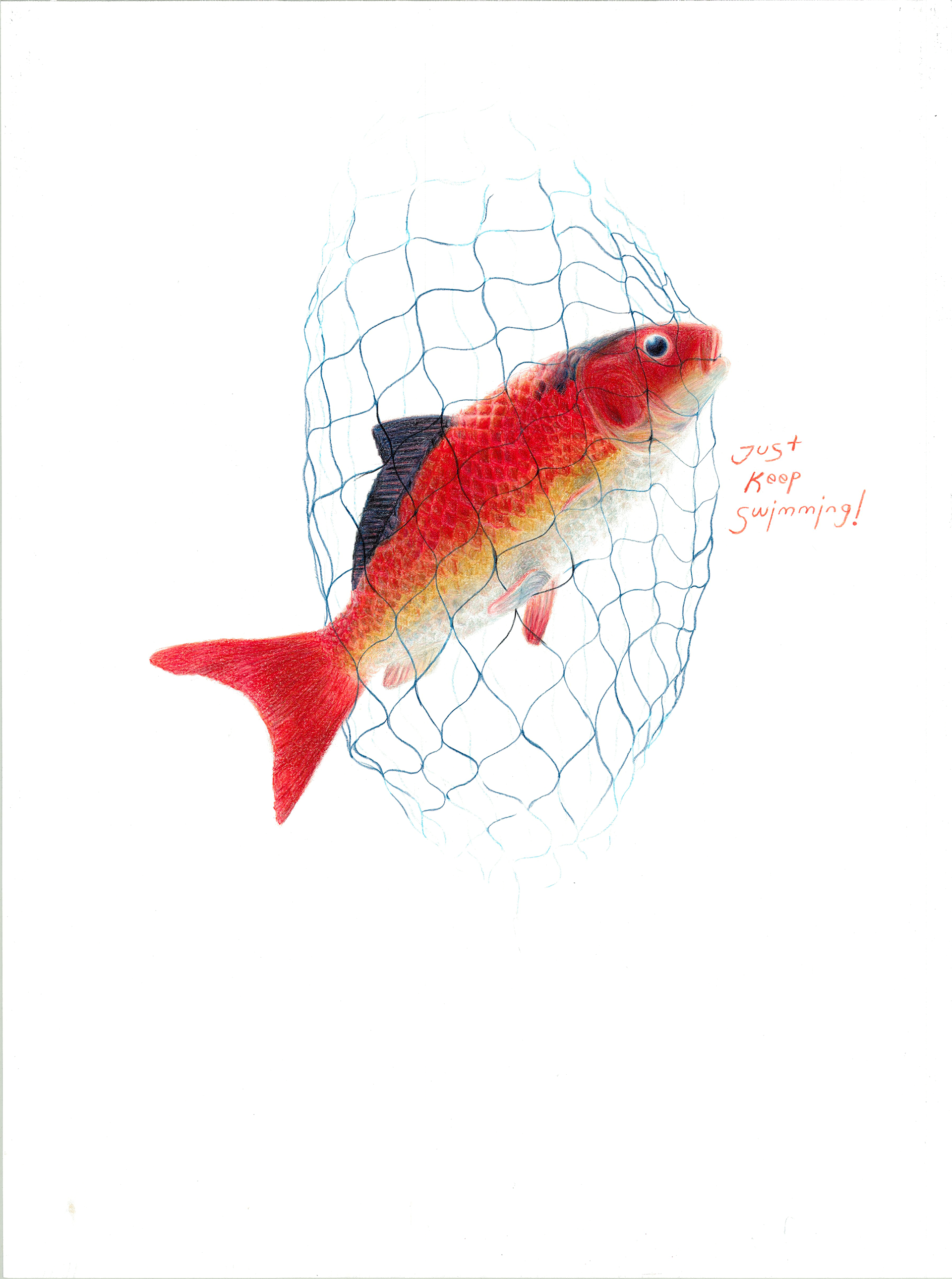 Colored Pencil Illustration