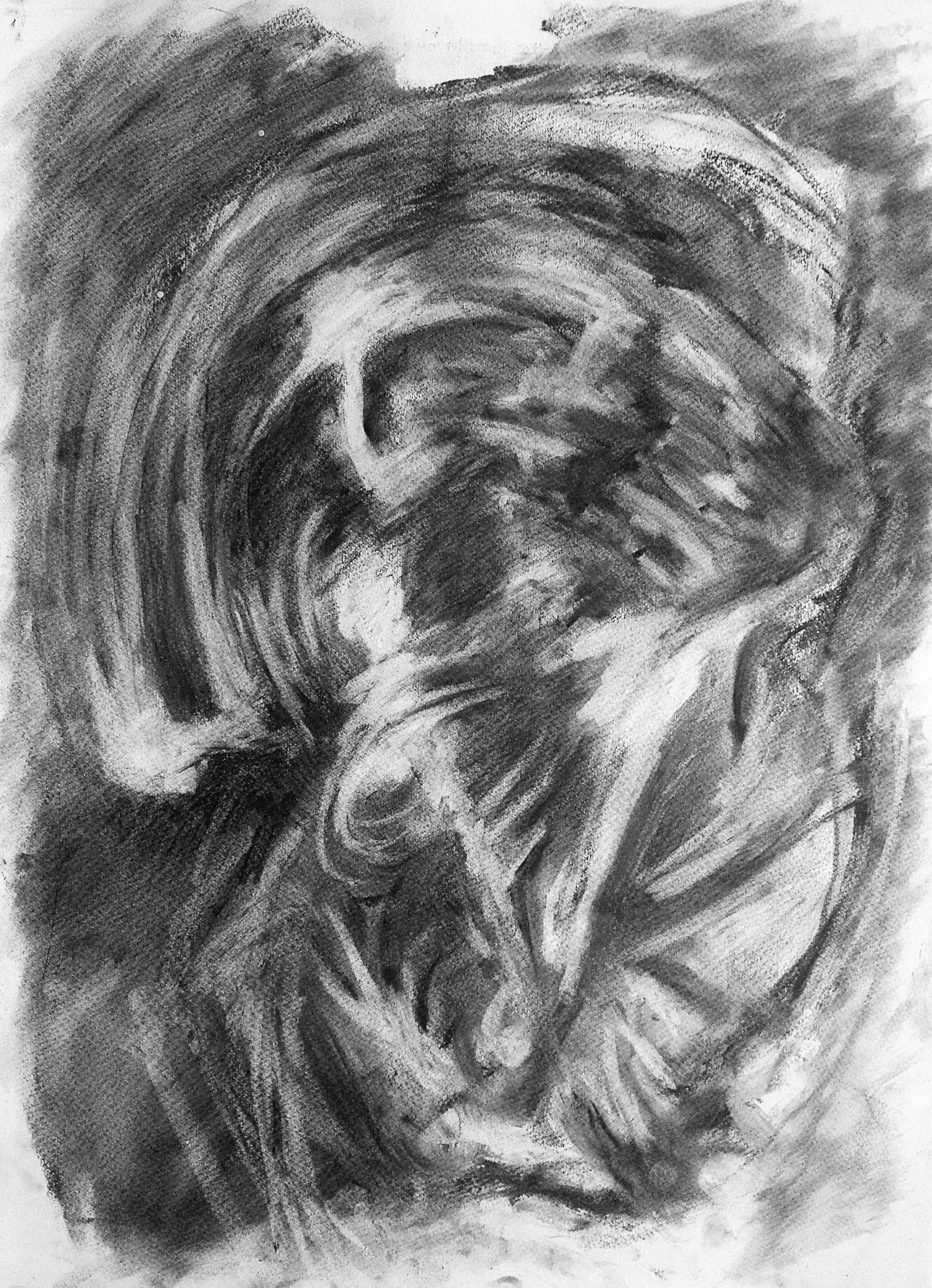 charcoal 35x50