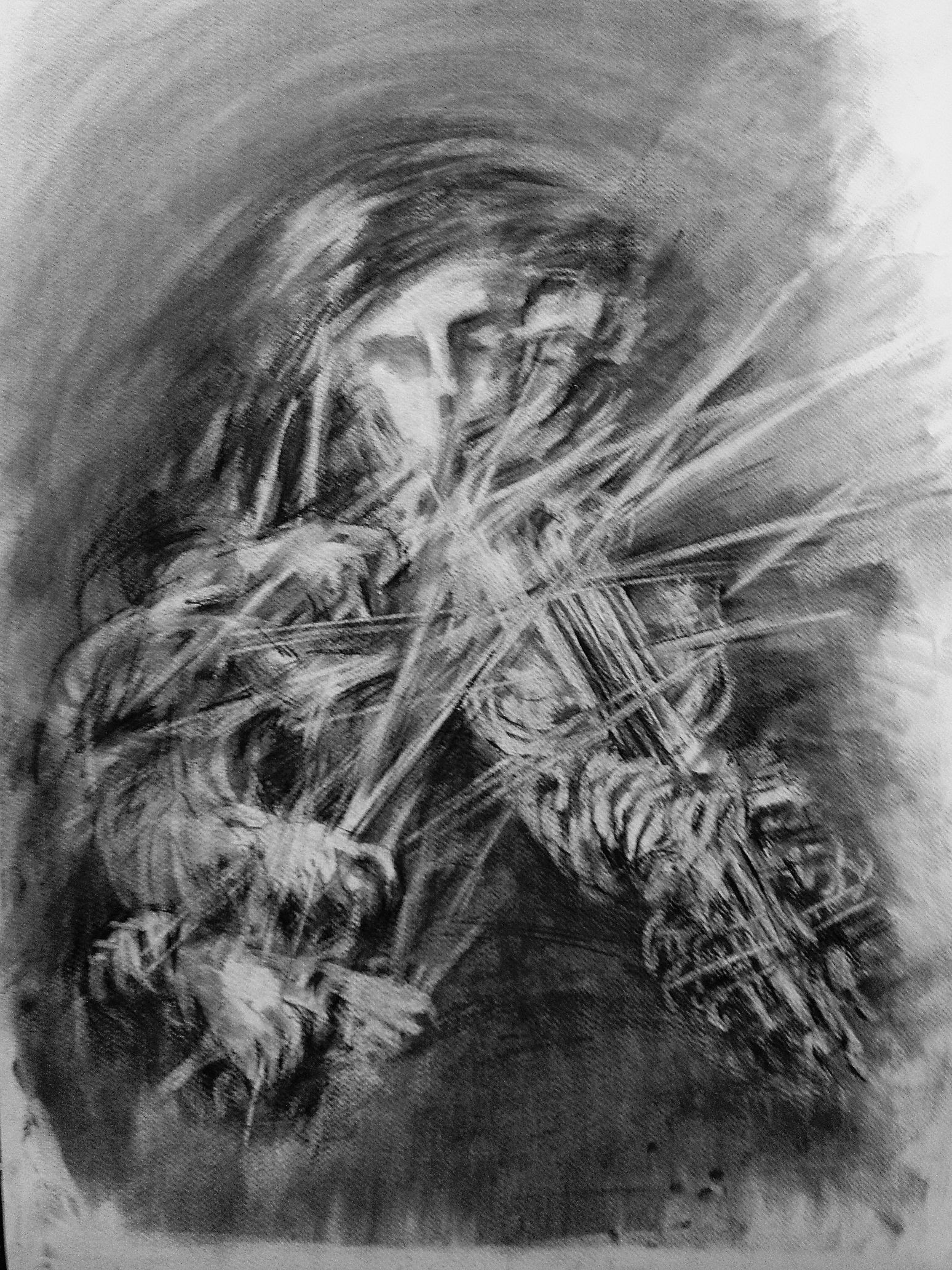 charcoal 60x80