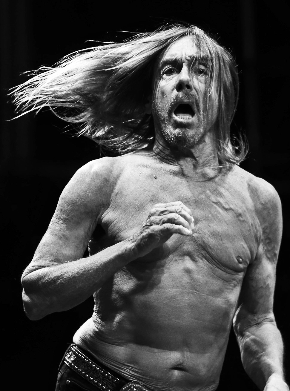 Iggy Pop 2016