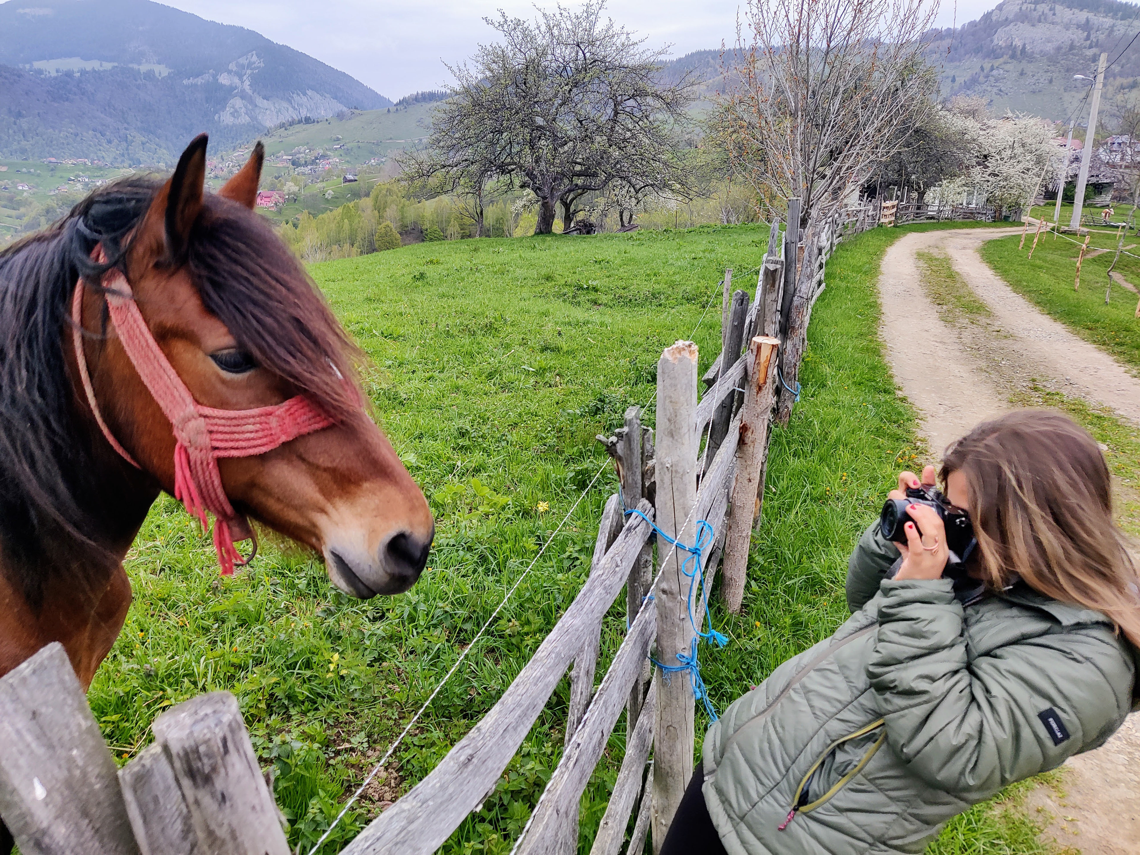 taking the photo