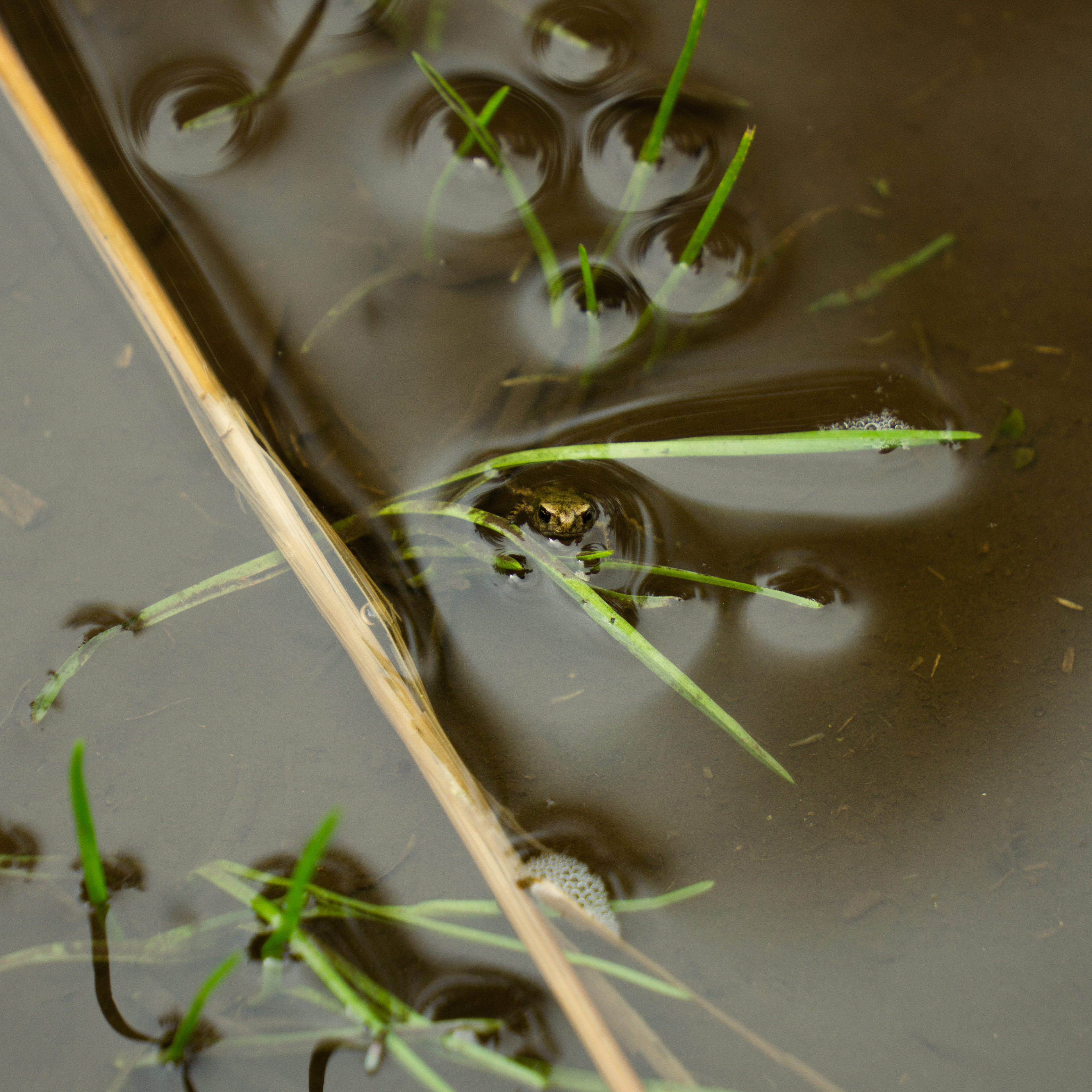 ƒ/5.6 • 1/200s • 126mm • ISO 250