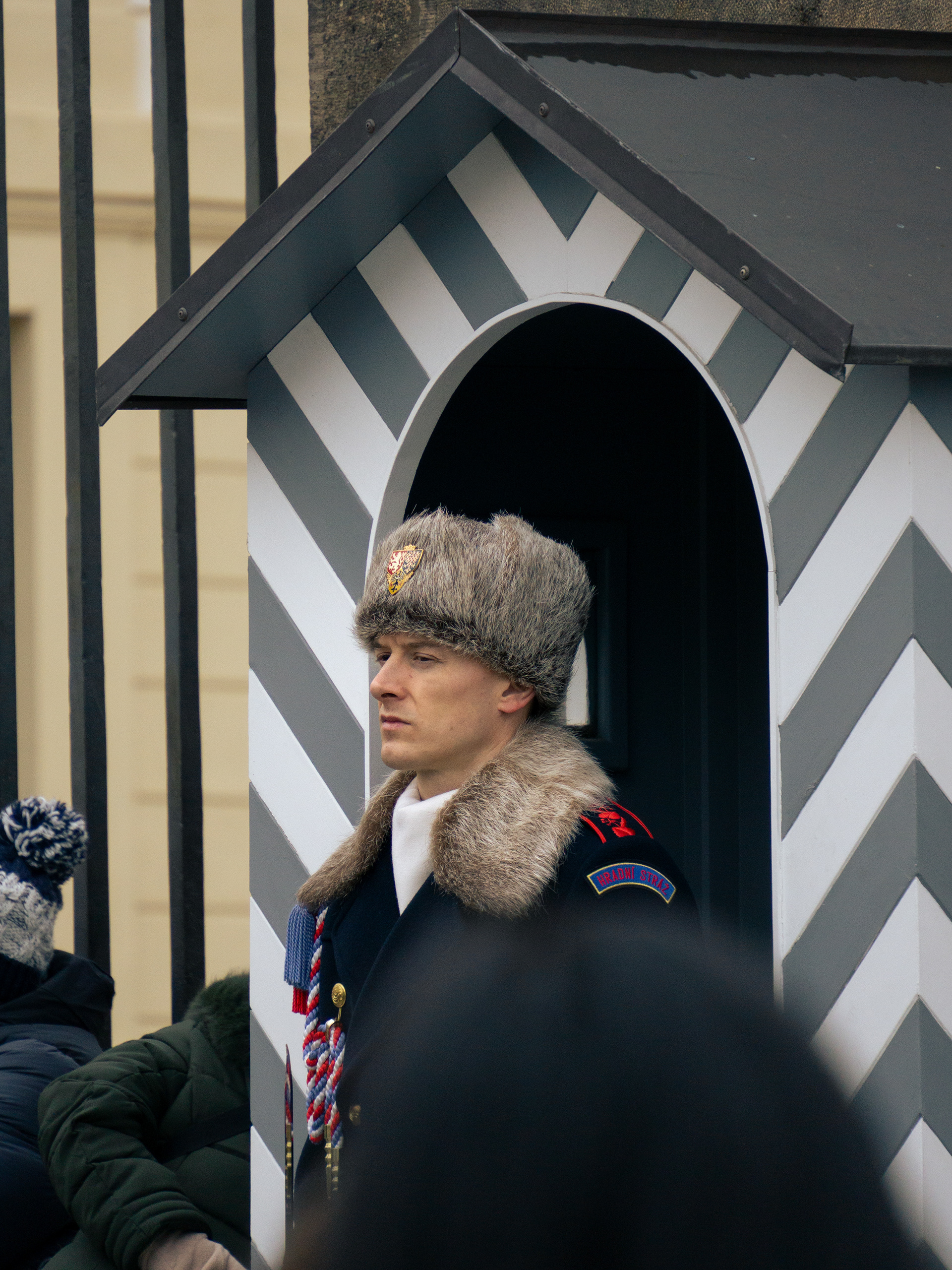 ƒ/6.3 • 1/400s • 214mm • ISO 1000