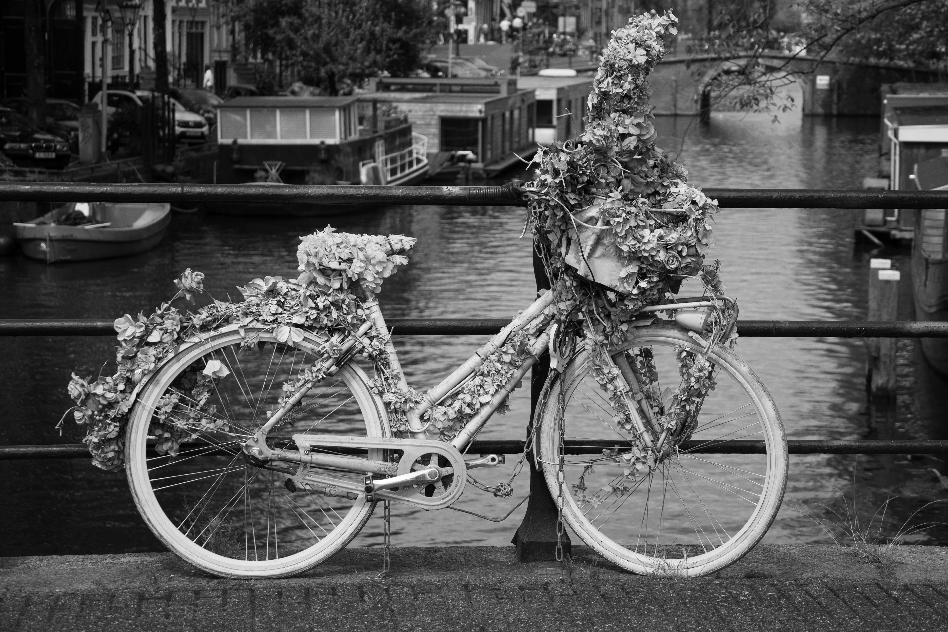 ƒ/4.5 • 1/1250s • 55mm • ISO 200