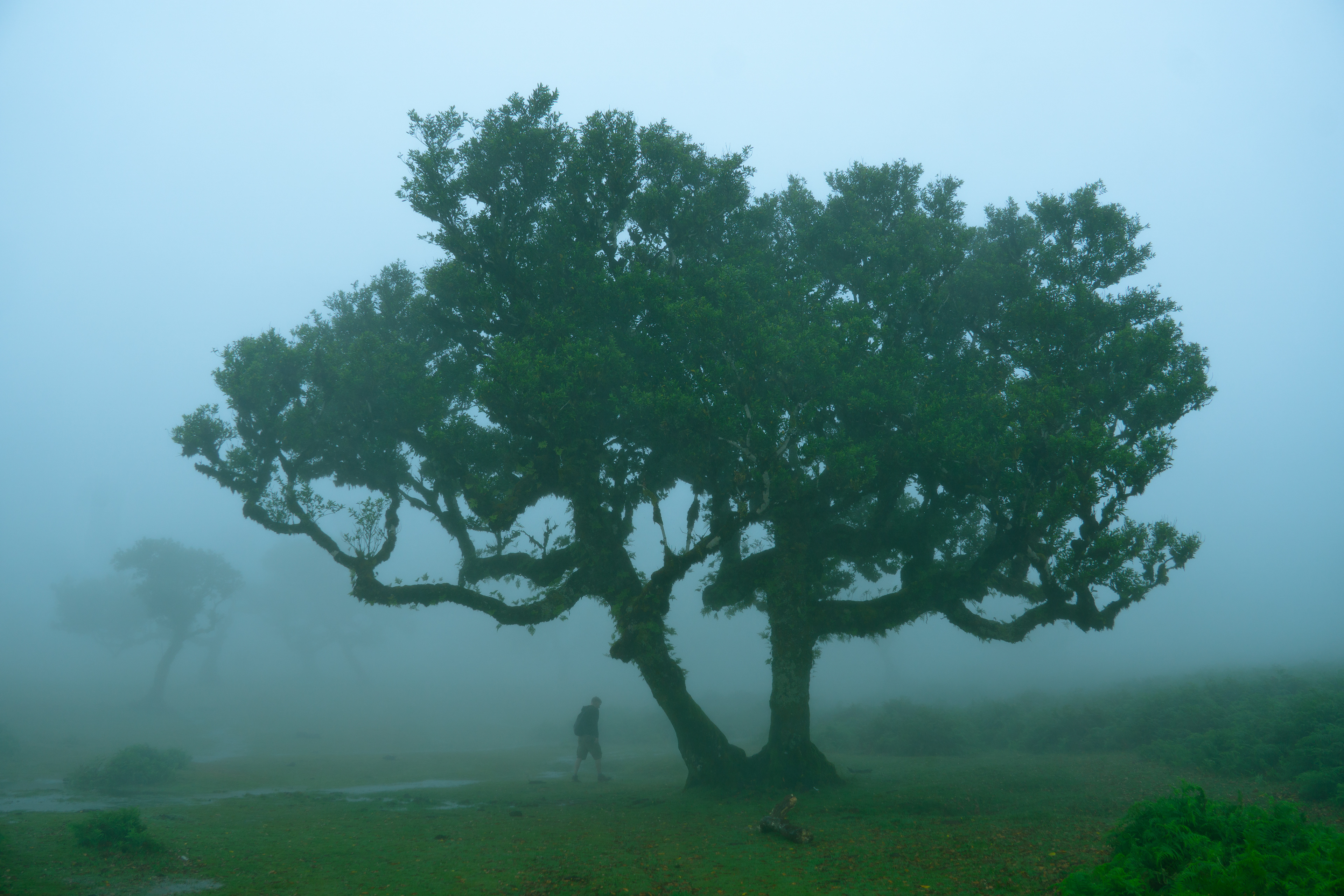 ƒ/6.3 • 1/250s • 18mm • ISO 100