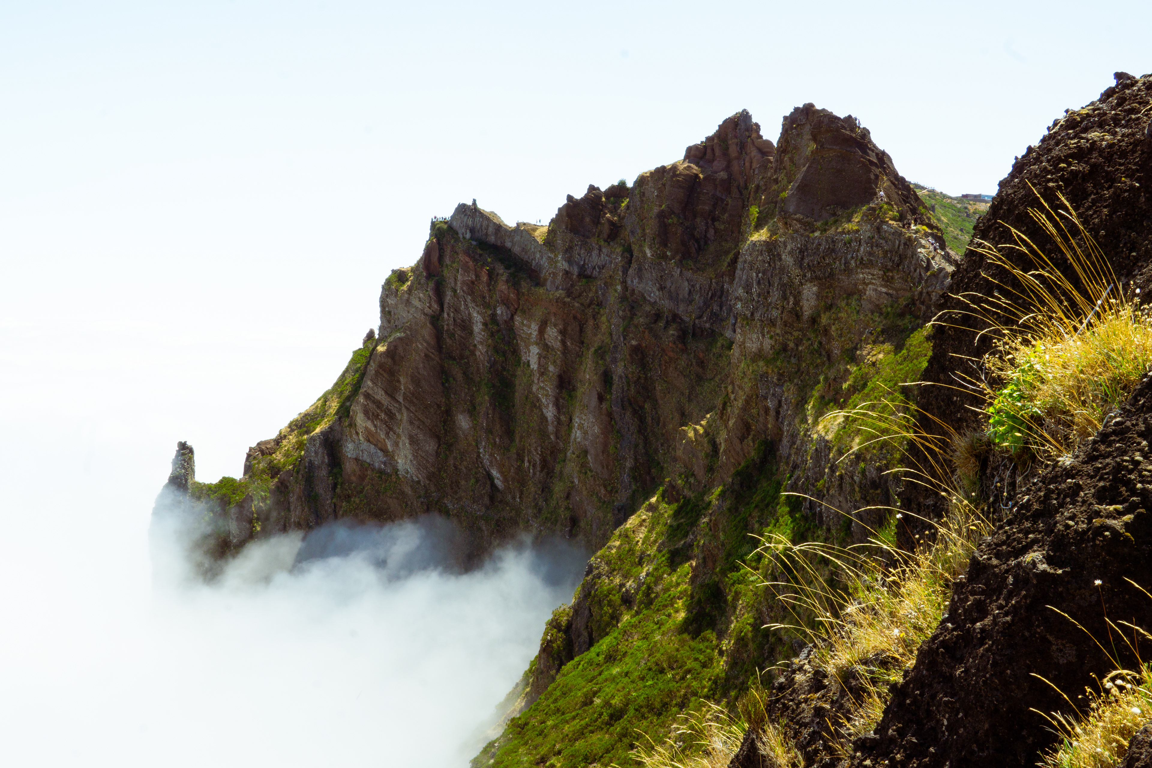 ƒ/22 • 1/60s • 33mm • ISO 200