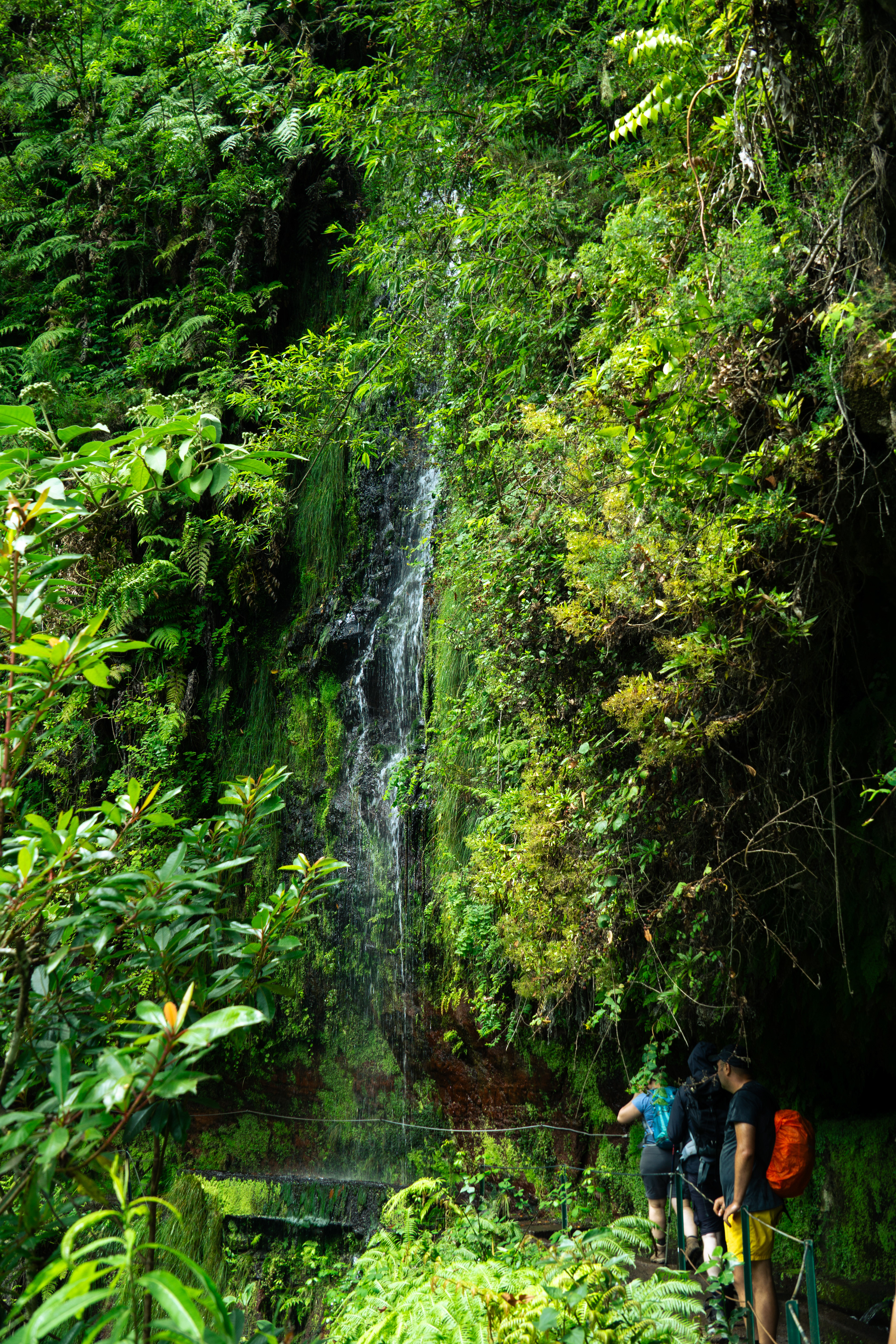 ƒ/7.1 • 1/60s • 32mm • ISO 160