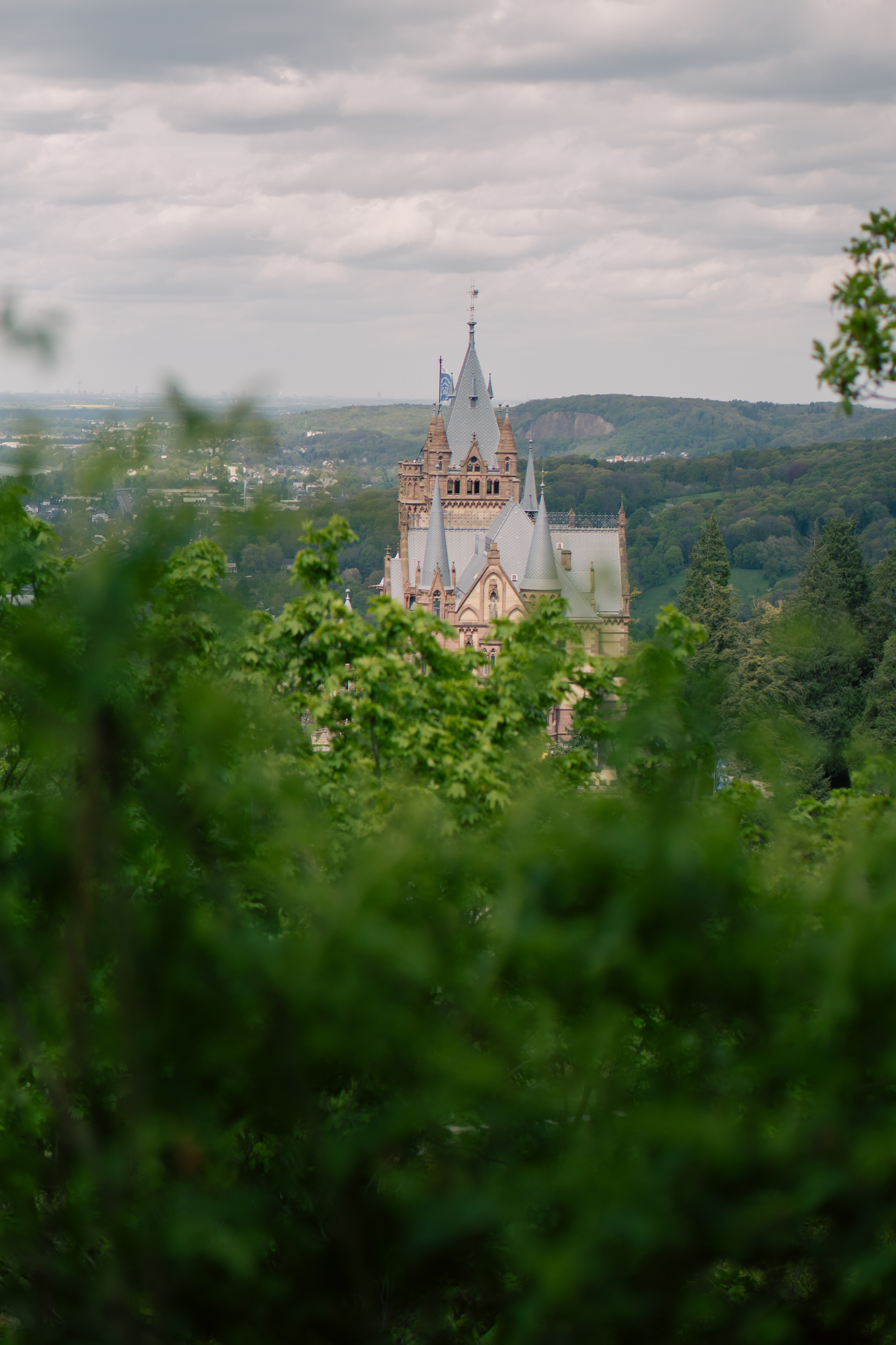 ƒ/1.8 • 1/3200s • 50mm • ISO 160