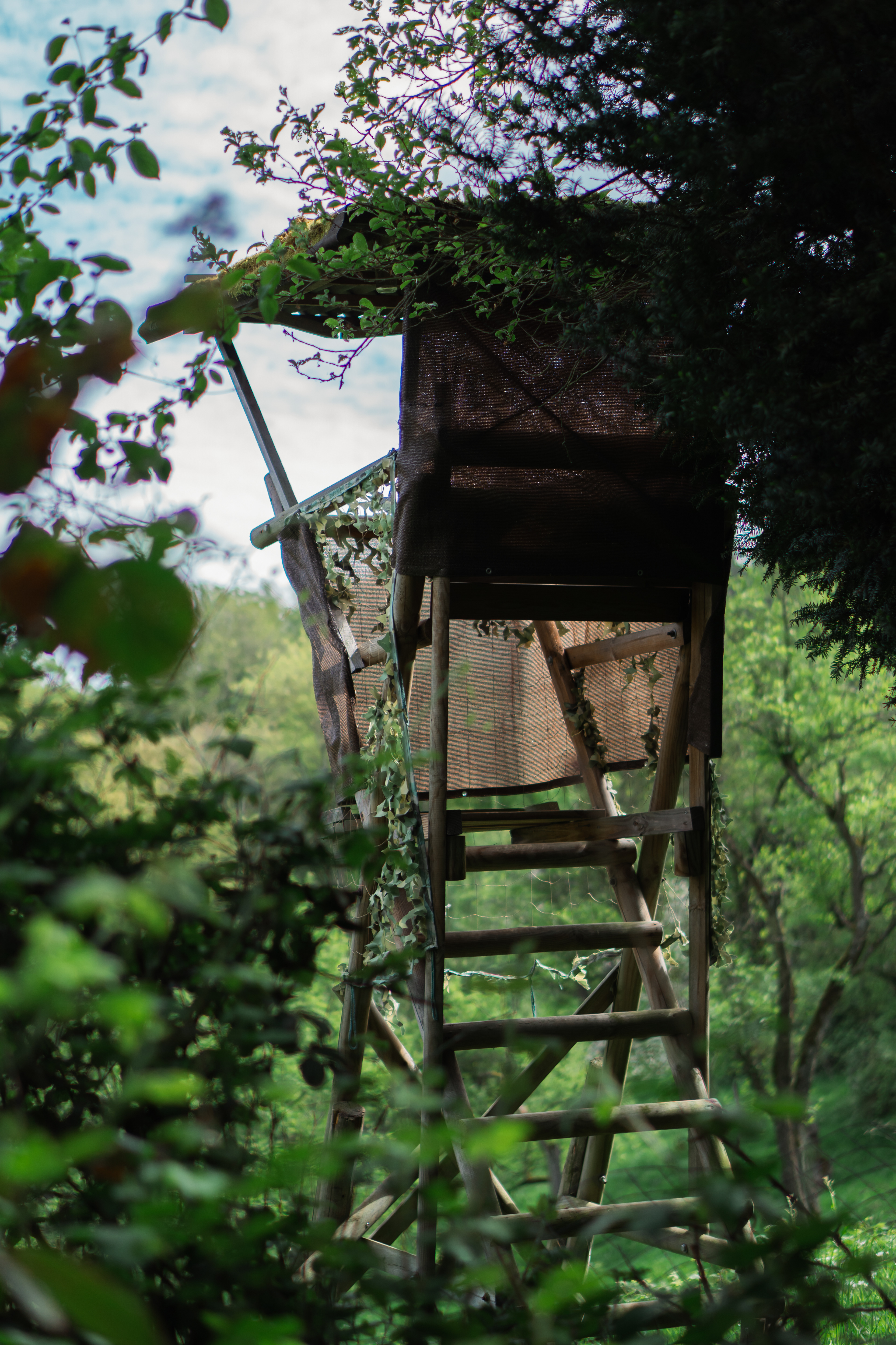 ƒ/1.8 • 1/1000s • 50mm • ISO 100