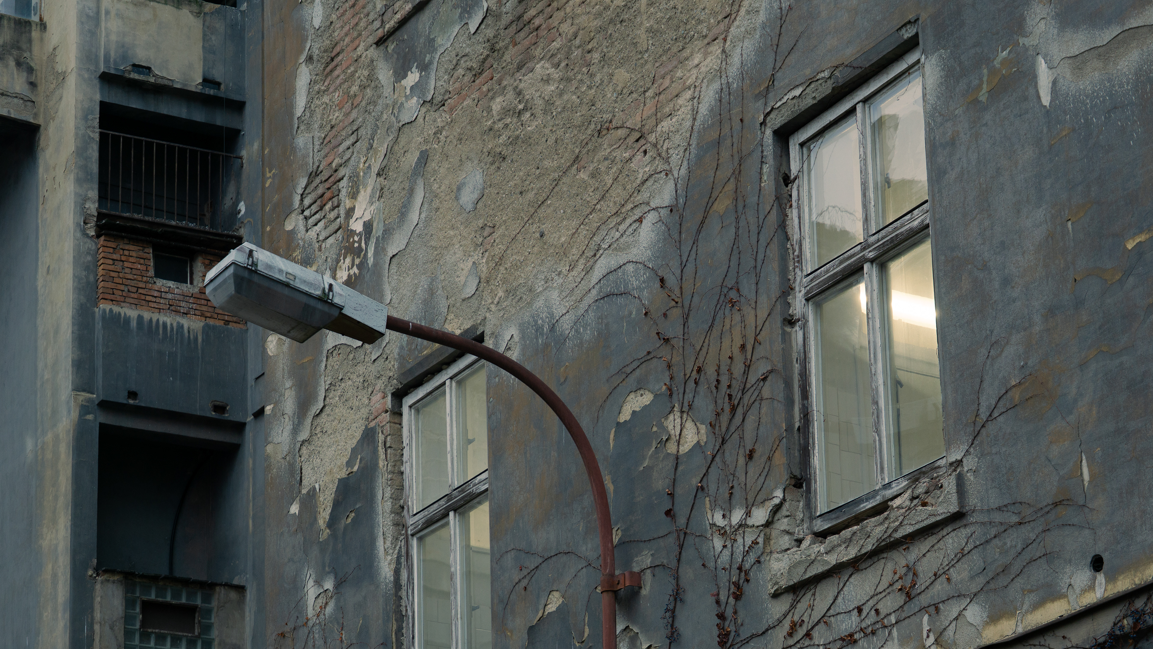 ƒ/4.5 • 1/100s • 56mm • ISO 320